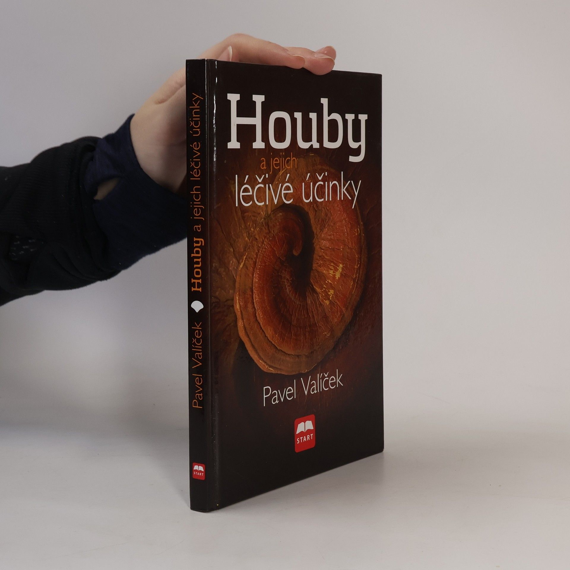 Houby a jejich léčivé účinky