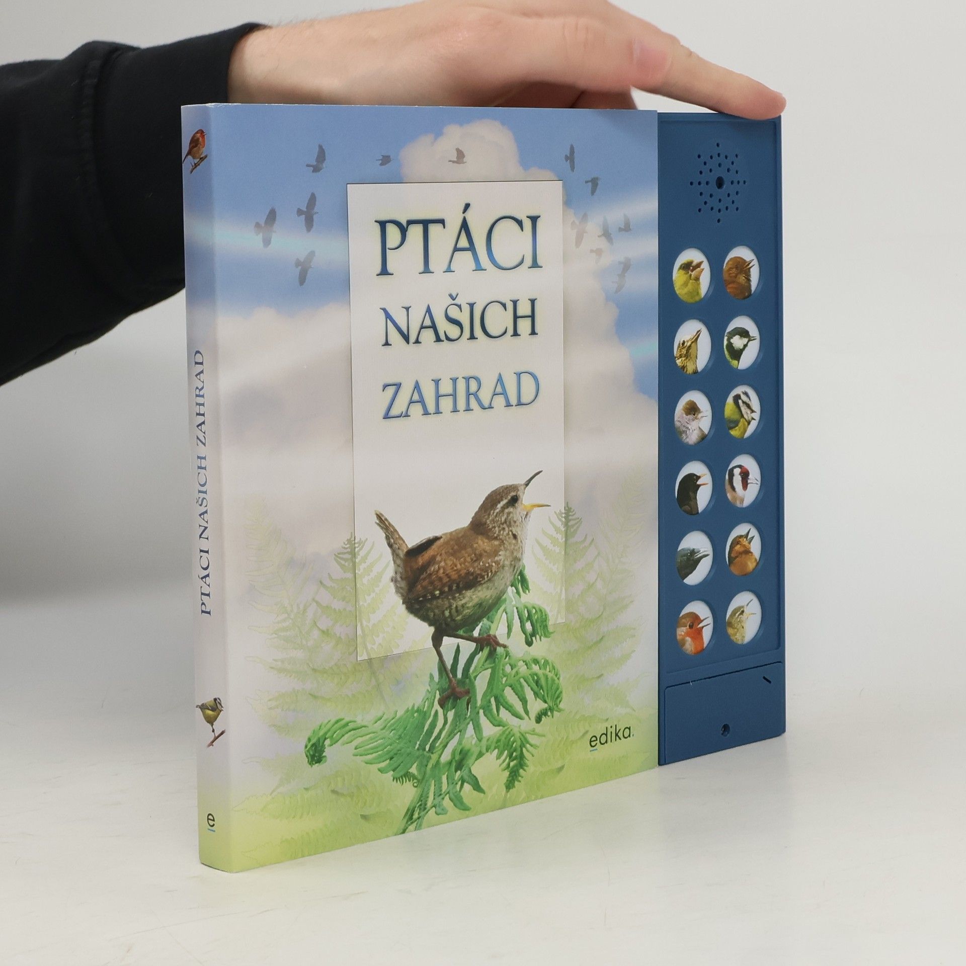 Andrea Pinnington Ptáci našich zahrad