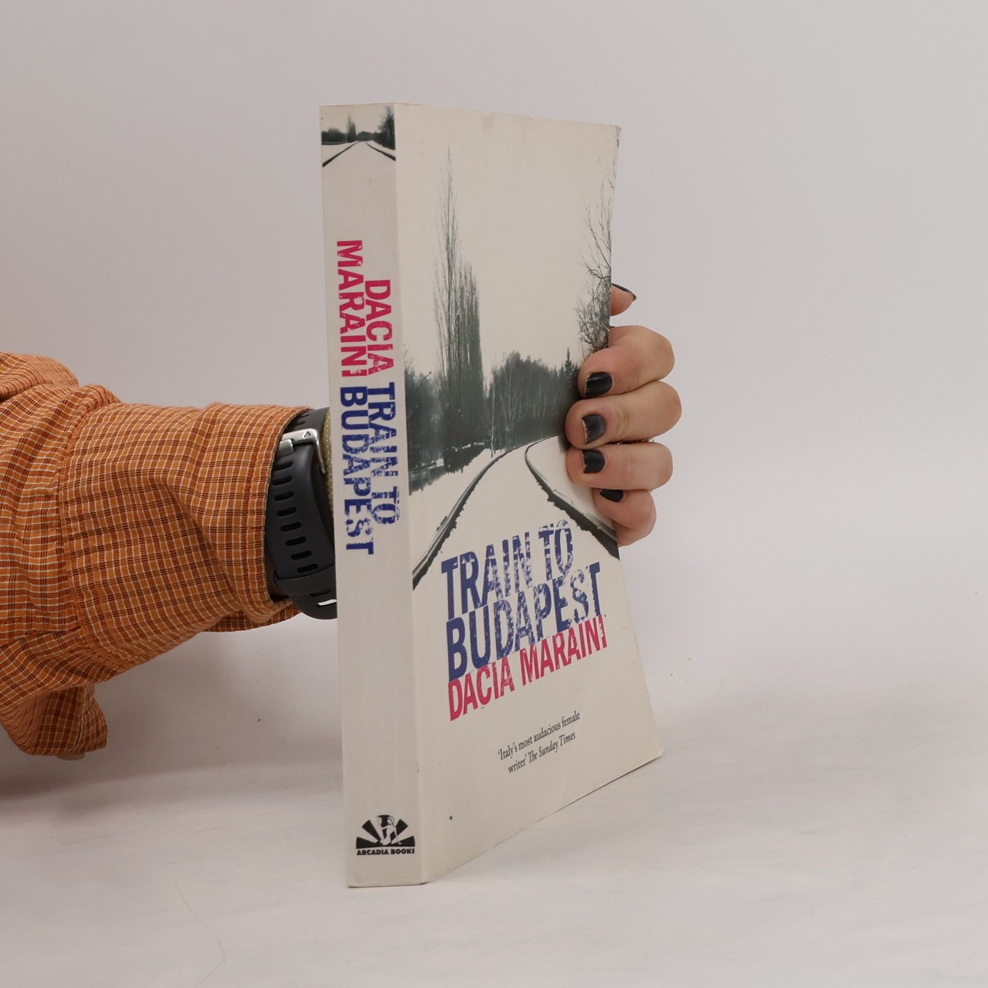 Dacia Maraini Train to Budapest