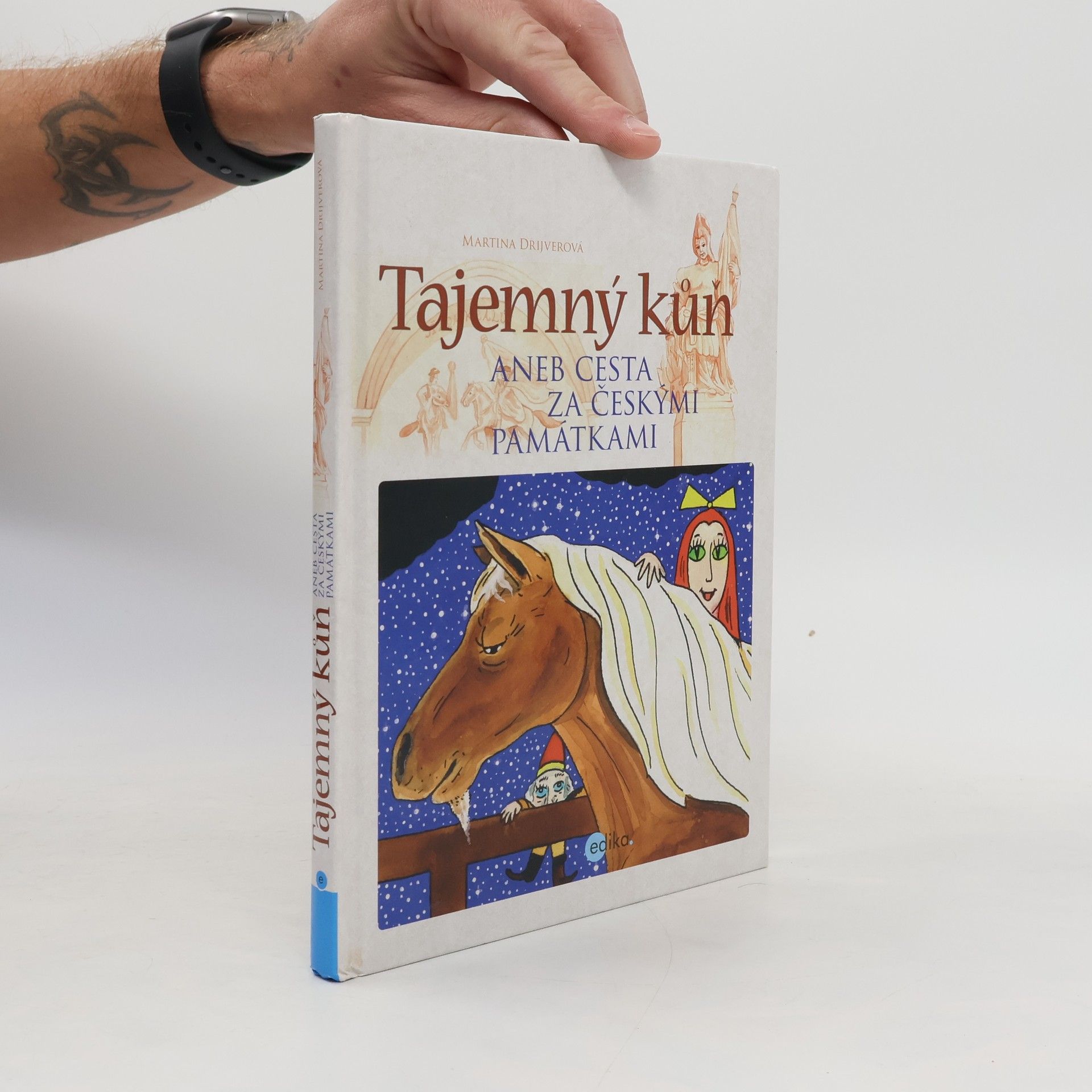 Drijverová Martina Tajemný kůň aneb Cesta za českými památkami