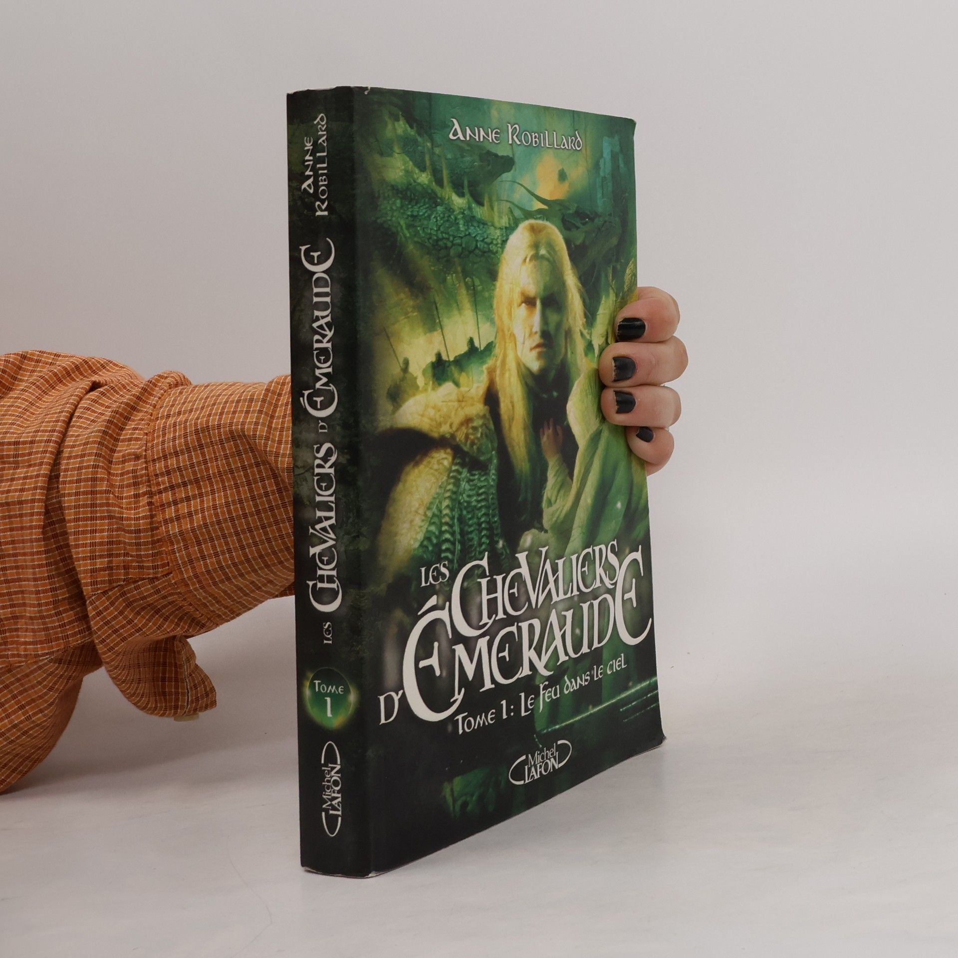 Anne Robillard Le feu dans le ciel