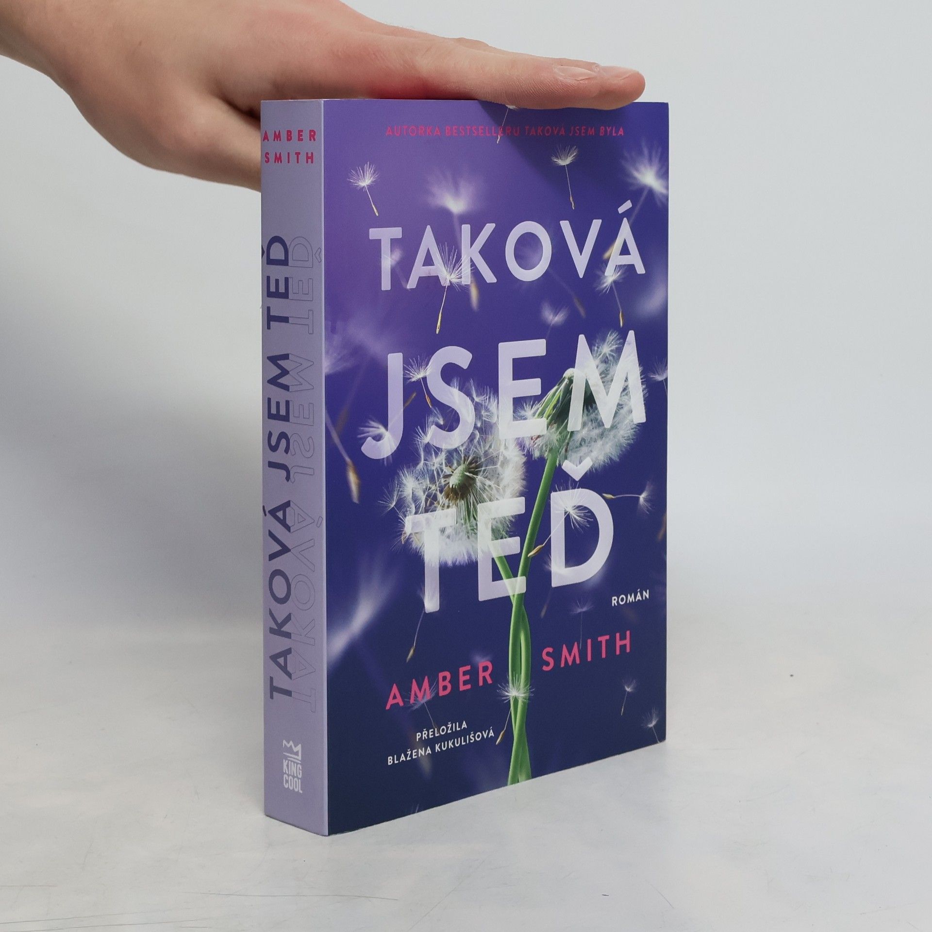 Amber Smith Taková jsem teď