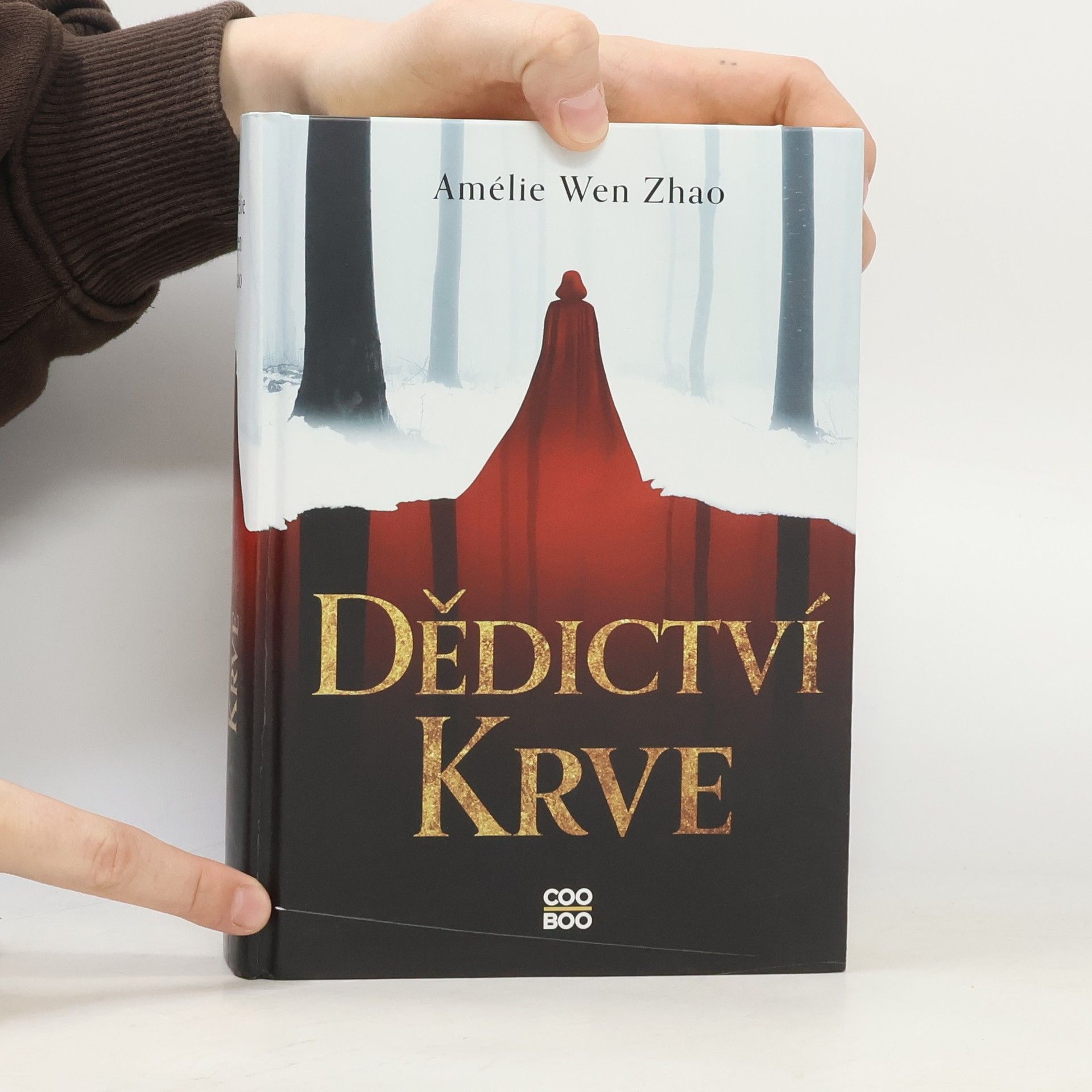 Amélie Wen Zhao Dědictví krve