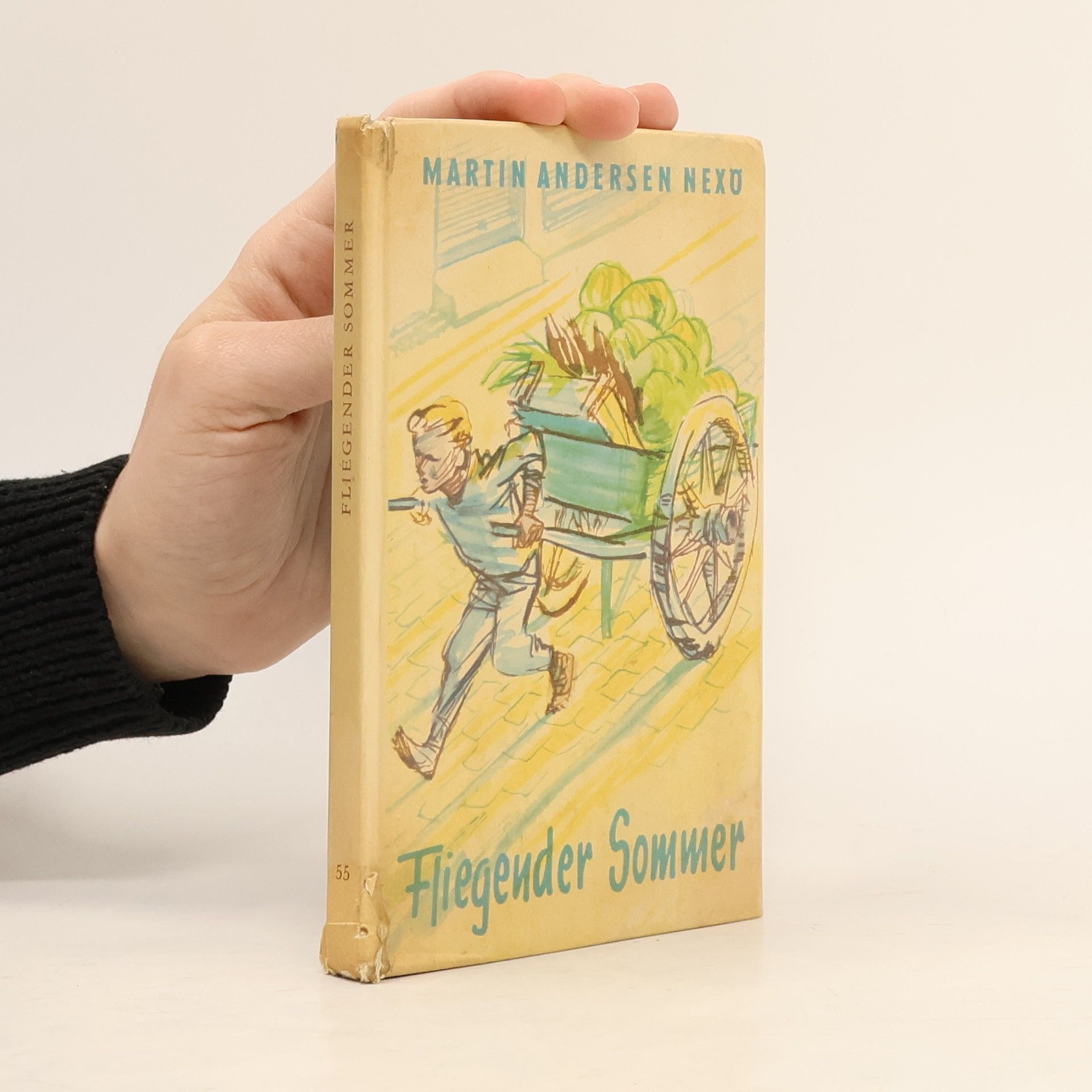 Ludwig Ganghofer Fliegender Sommer