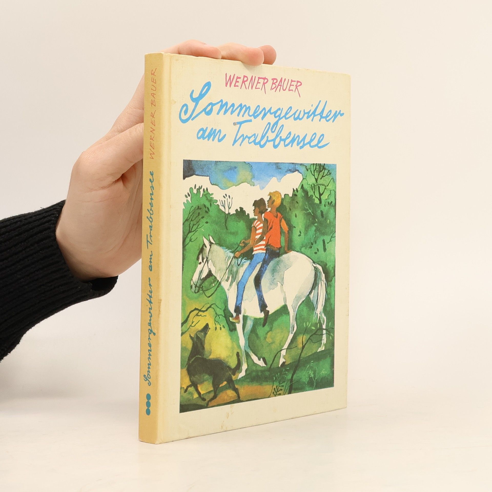 Werner Bauer Sommergewitter am Trabbensee