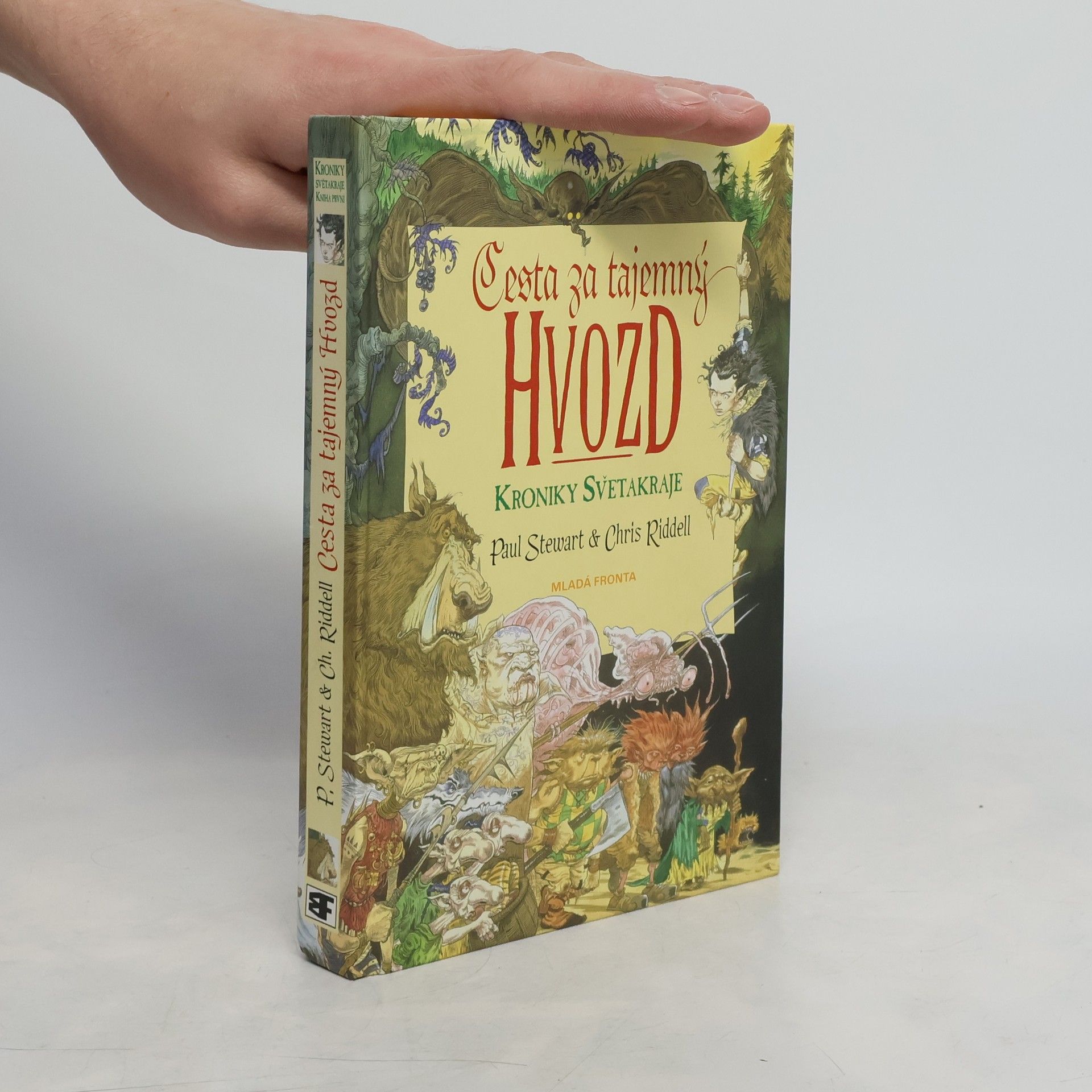 Paul Stewart Cesta za tajemný Hvozd. Kniha první