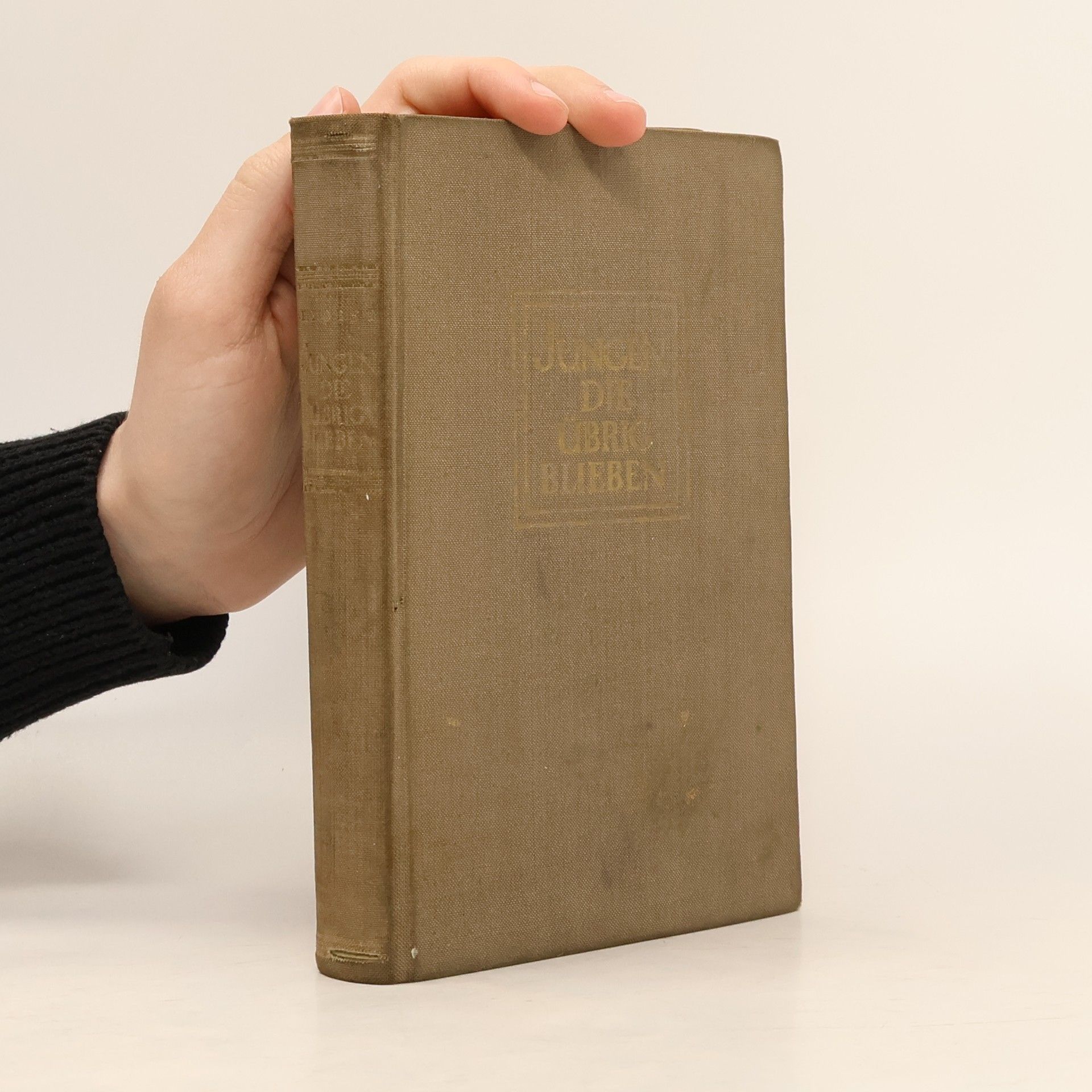 Jungen die Übrigbleiben