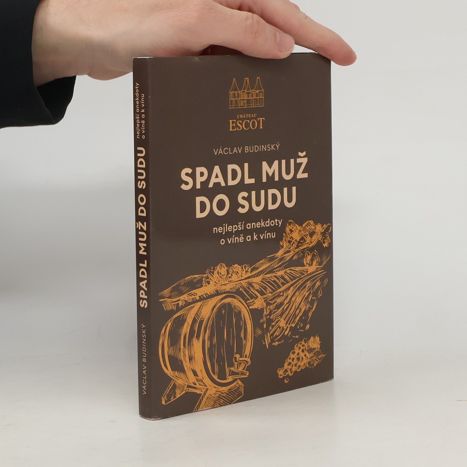 Spadl muž do sudu : nejlepší anekdoty o víně a k vínu