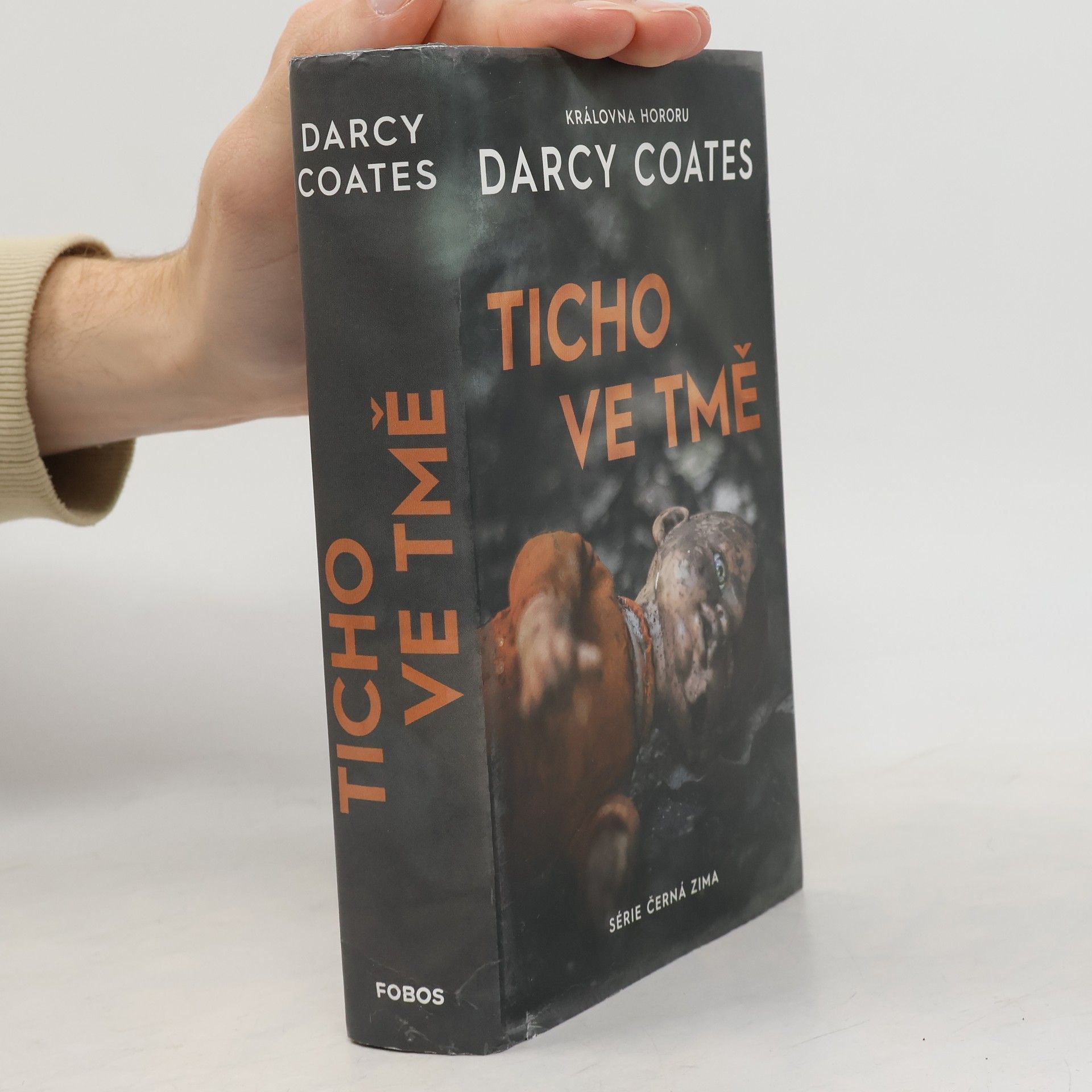 Darcy Coates Ticho ve tmě