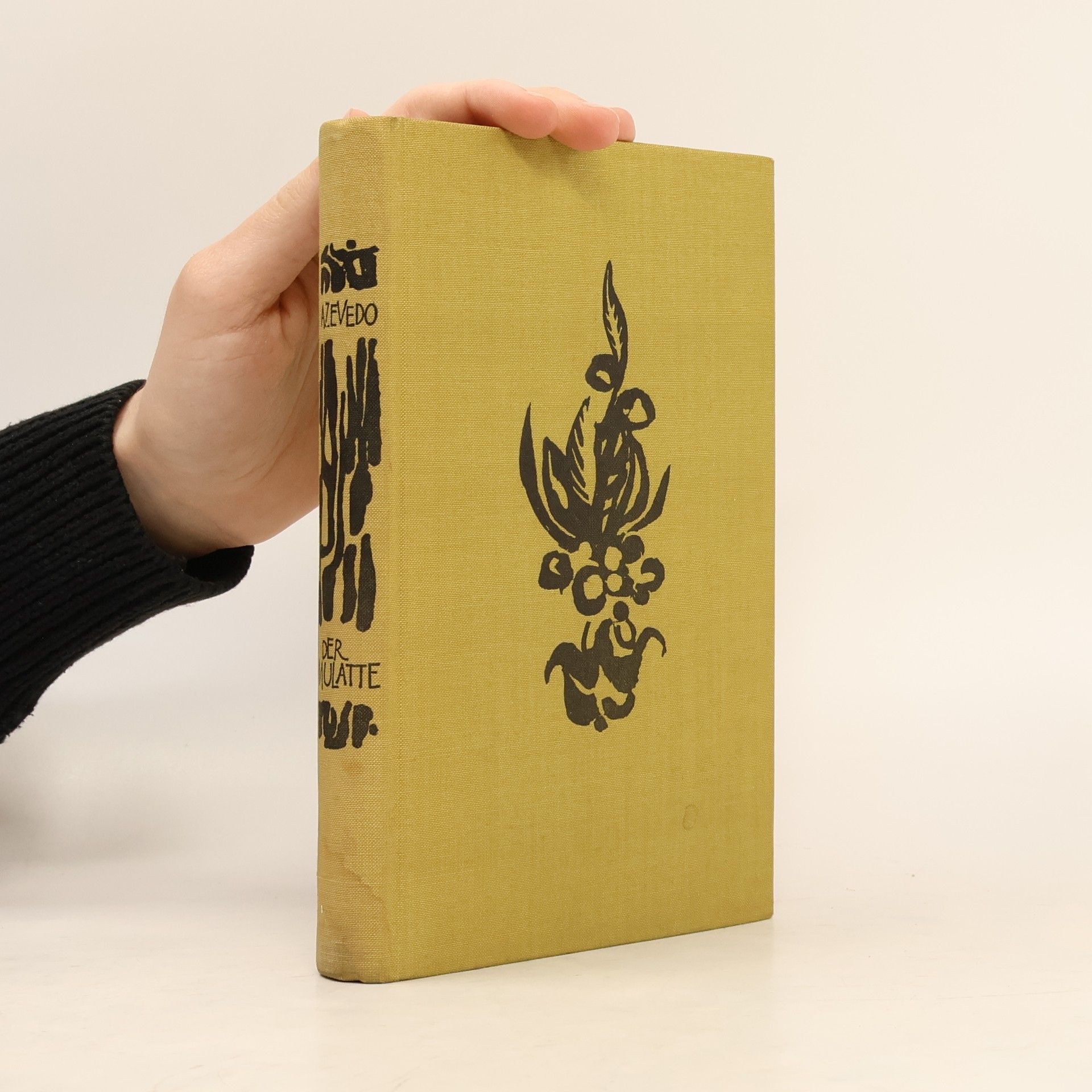 Aluísio Azevedo Der mulatte