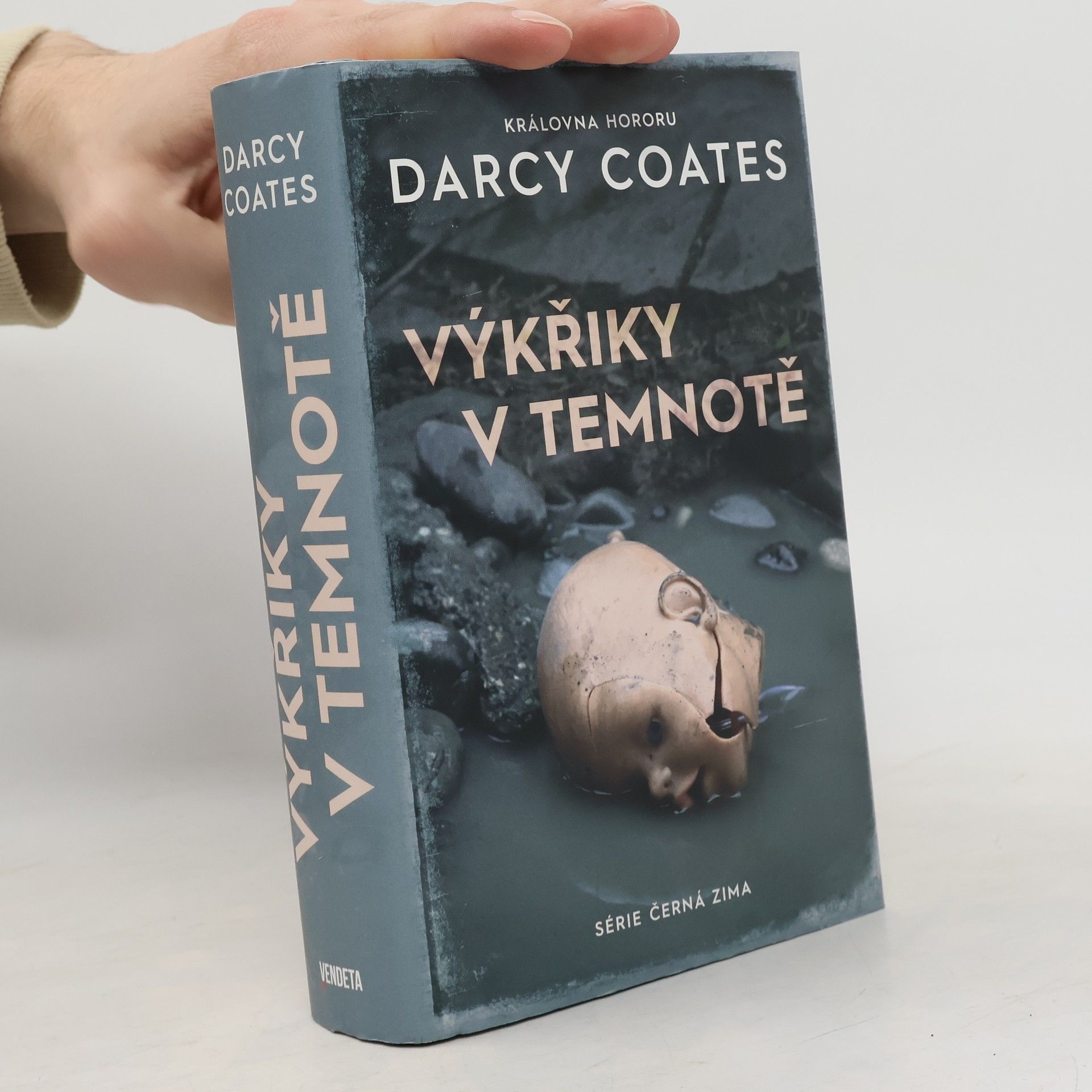Darcy Coates Výkřiky v temnotě