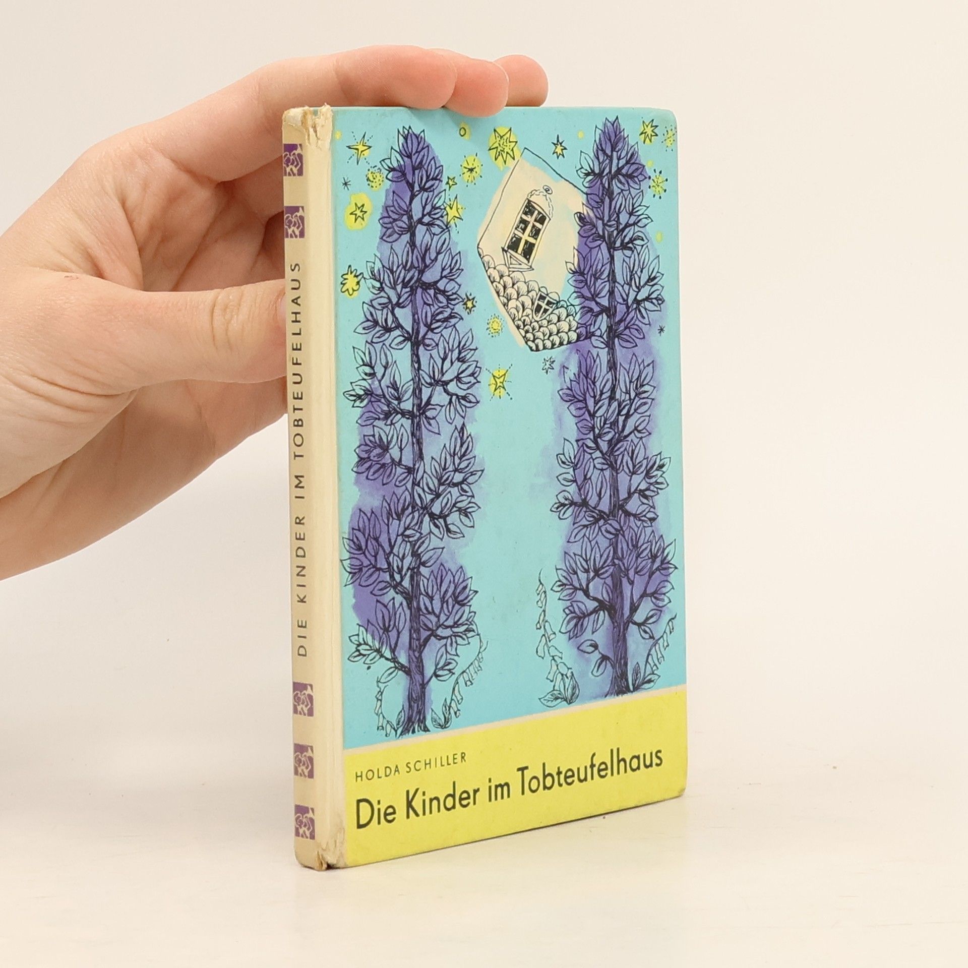 Holda Schiller Die Kinder im Tobteufelhaus