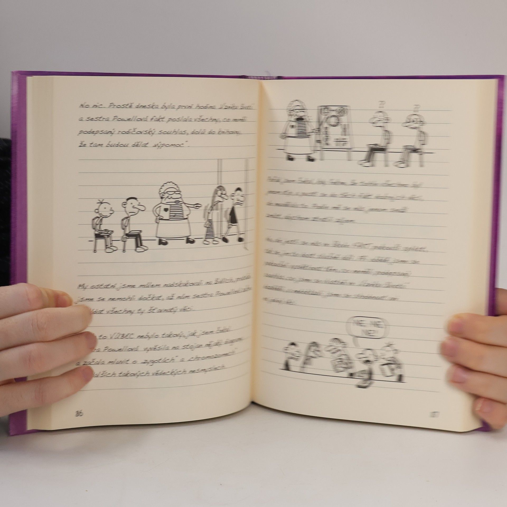 Jeff Kinney Deník malého poseroutky 5. Ošklivá pravda