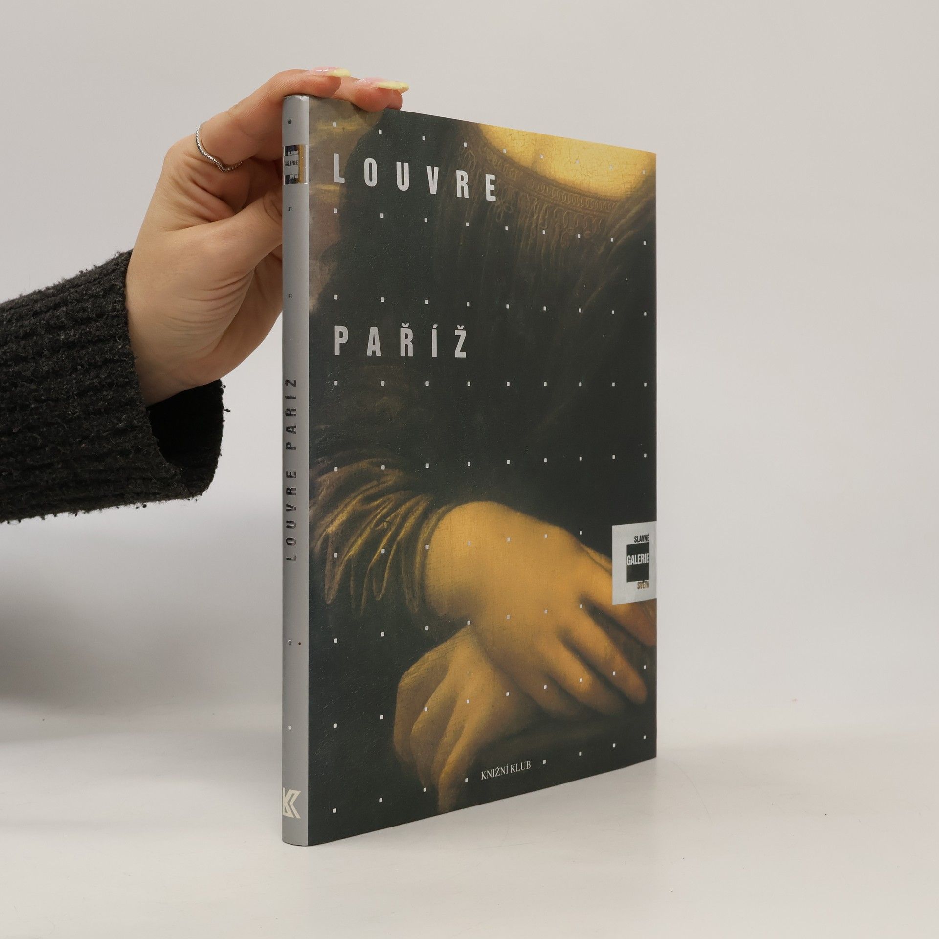 Alessandra Fregolent Slavné galerie světa. Louvre - Paříž