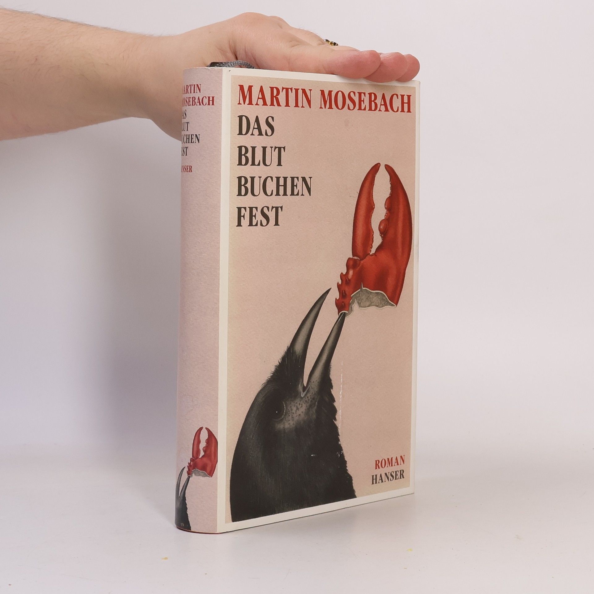 Martin Mosebach Das Blutbuchenfest