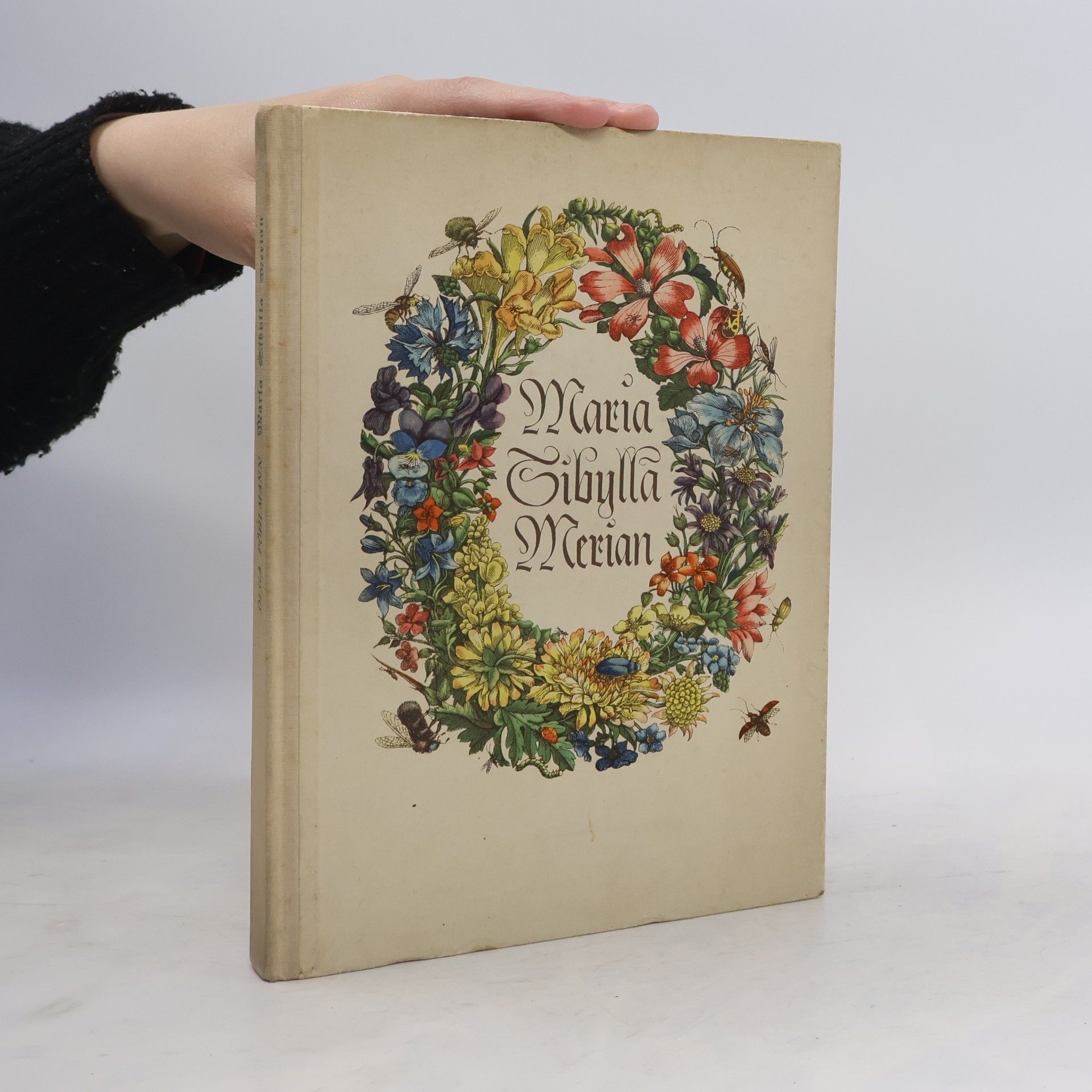 Olga Pöhlmann Maria Sibylla Merian