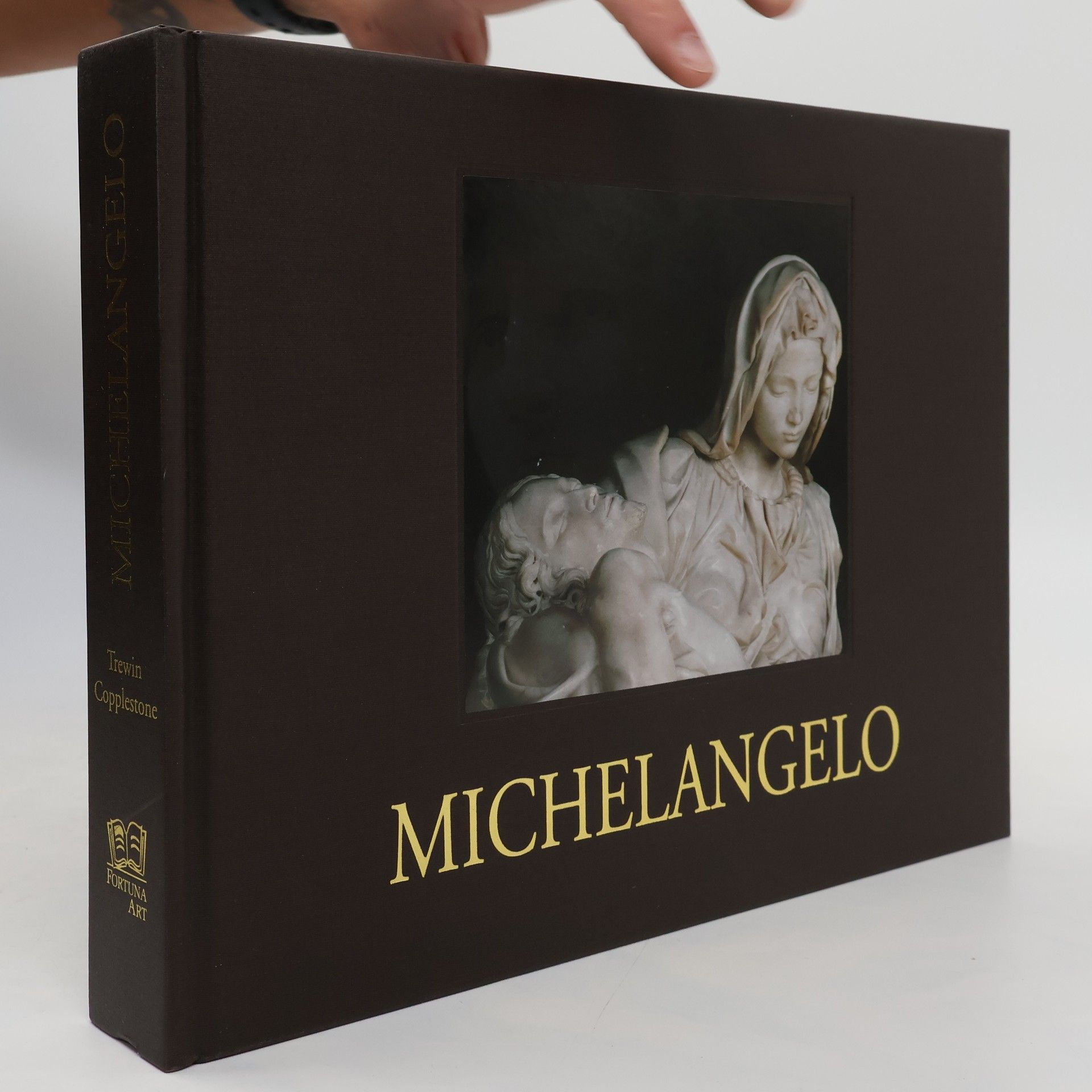 Trewin Copplestone Michelangelo