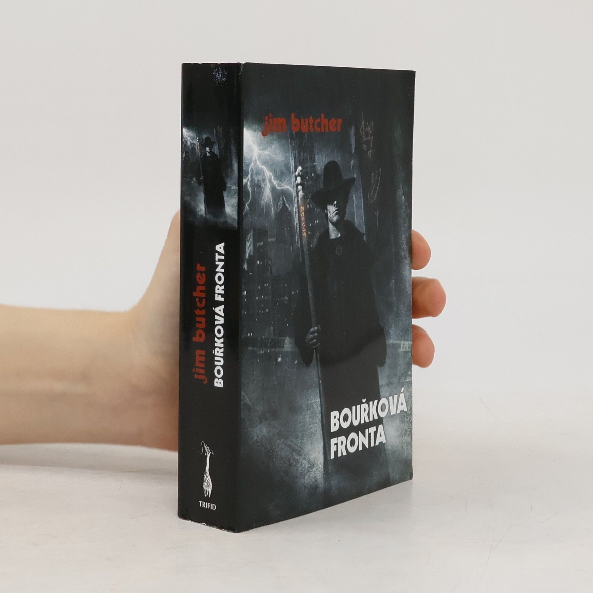 Jim Butcher Bouřková fronta