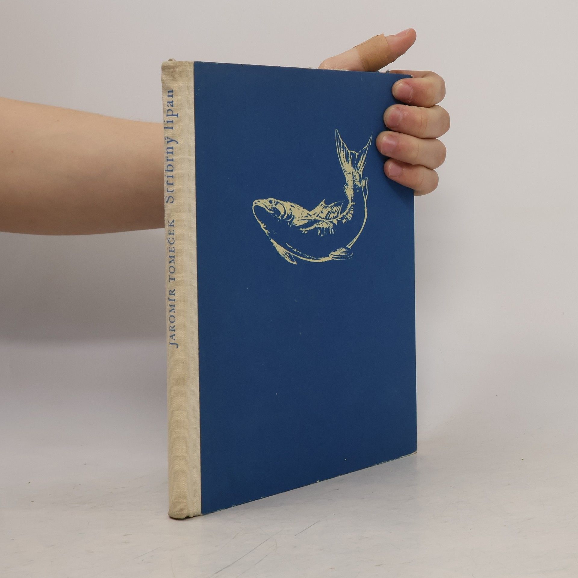 Jaromír Tomeček Stříbrný lipan