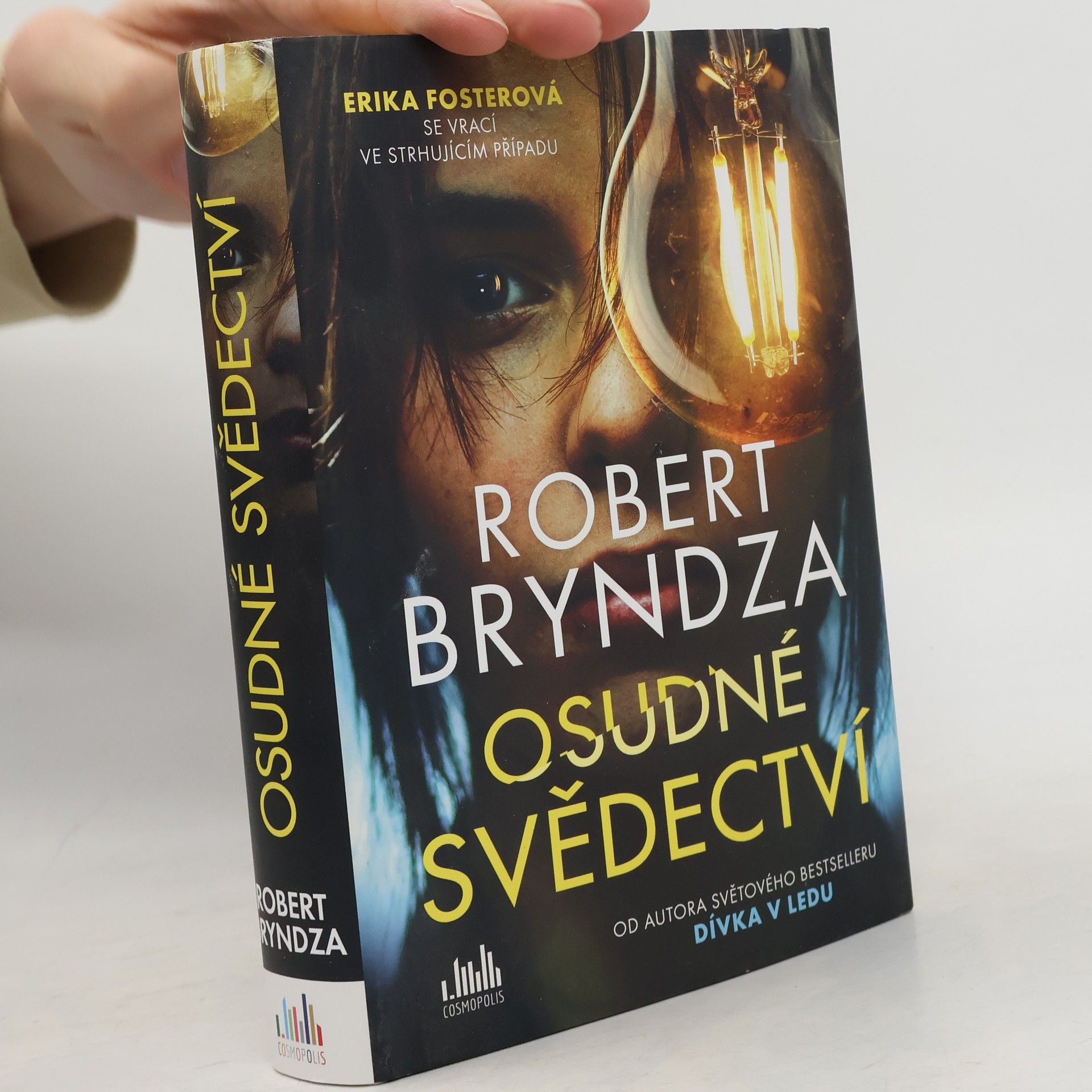 Robert Bryndza Osudné svědectví