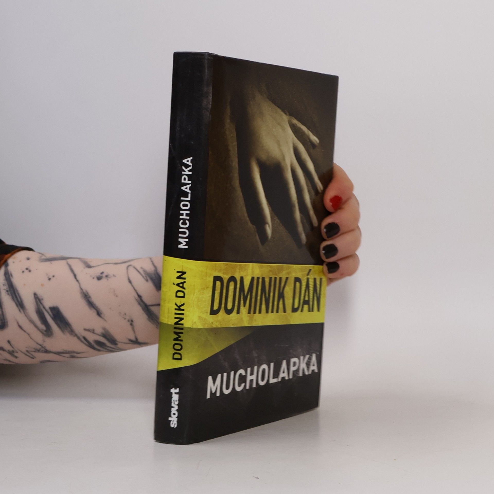 Dominik Dán Mucholapka