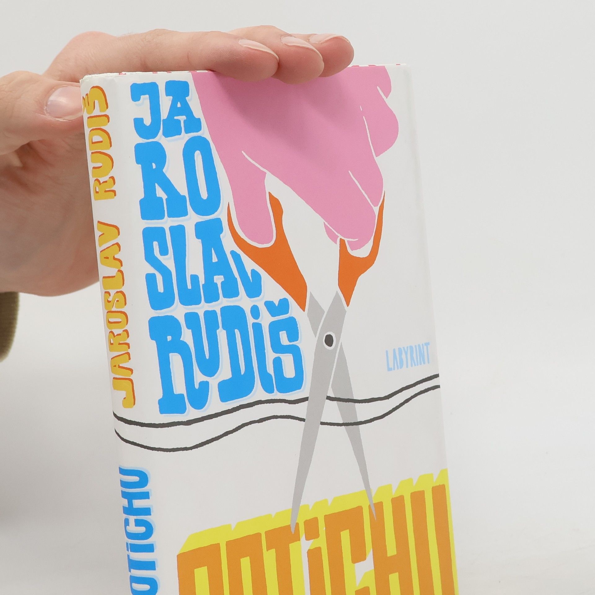 Jaroslav Rudiš Potichu