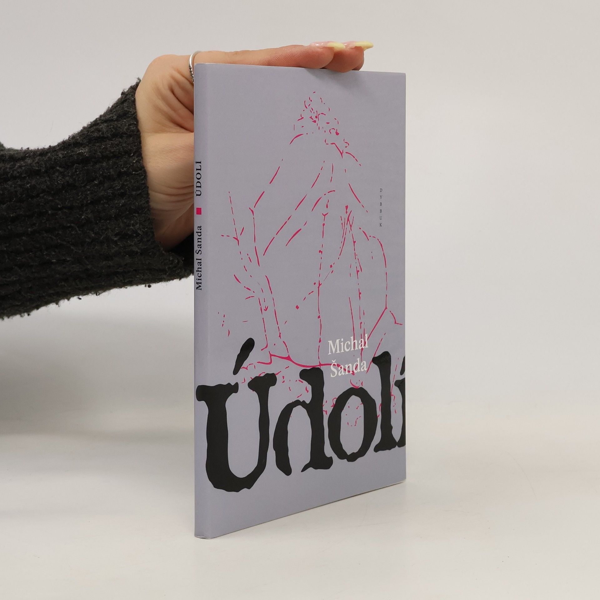 Michal Šanda Údolí