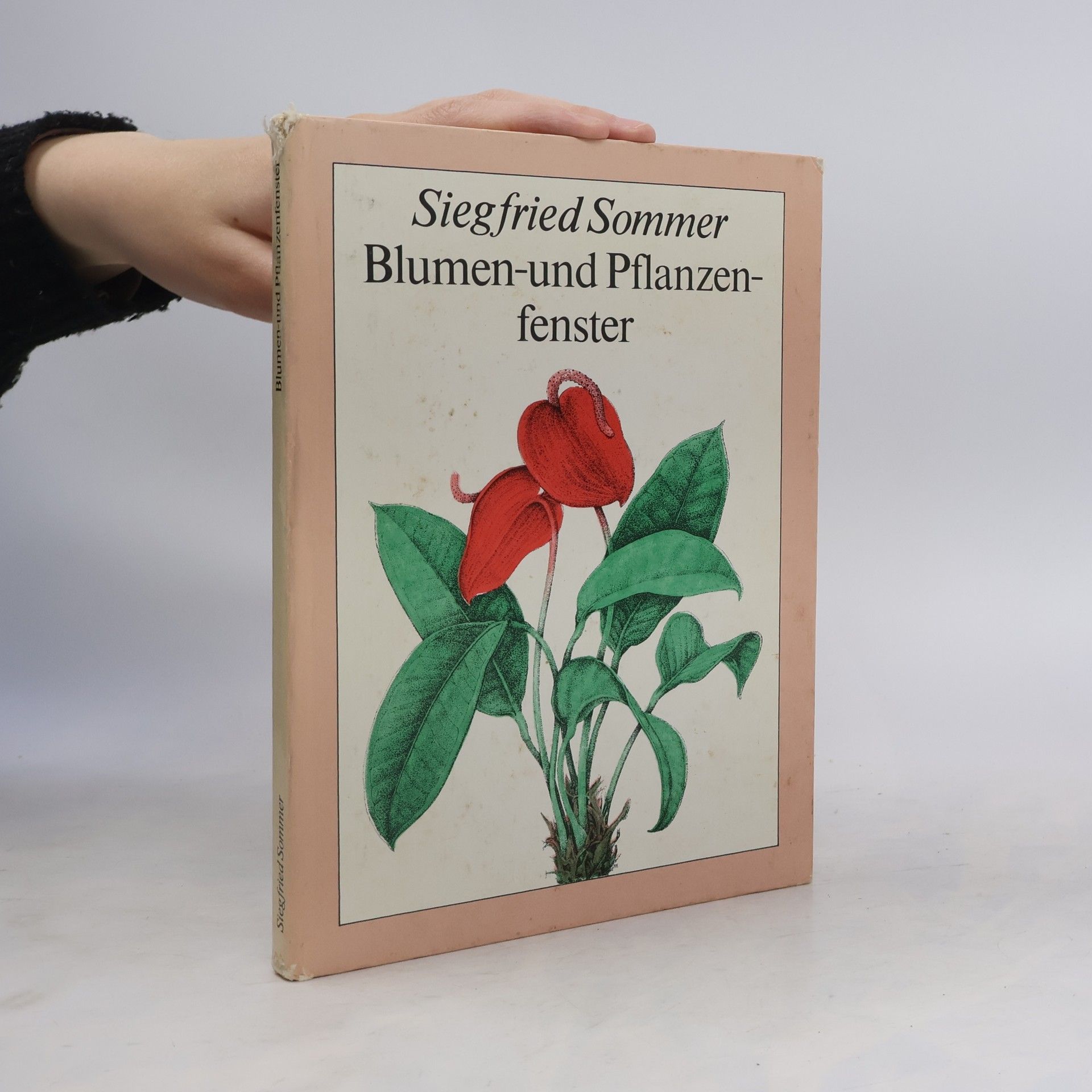 Siegfried Sommer Blumen und Pflanzen fenster