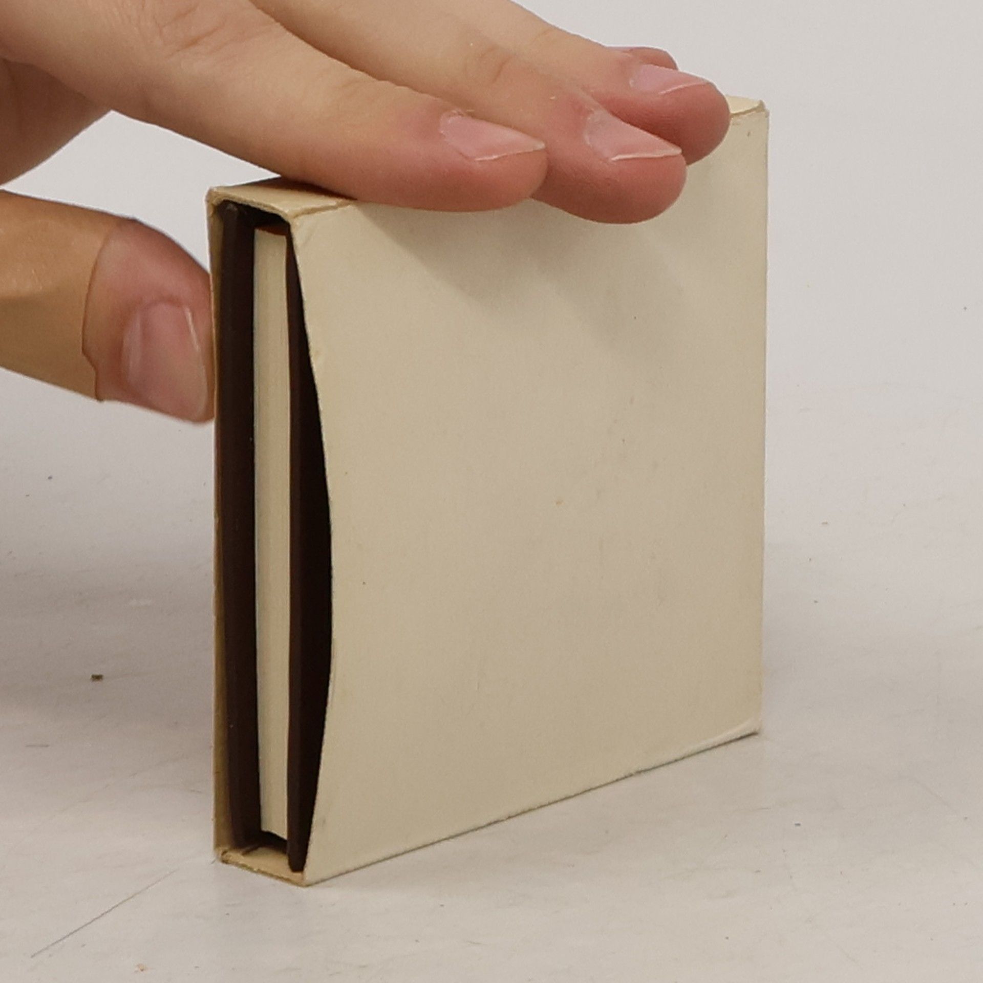 Elsa Sophia Kamphoevener Křišťálový serail