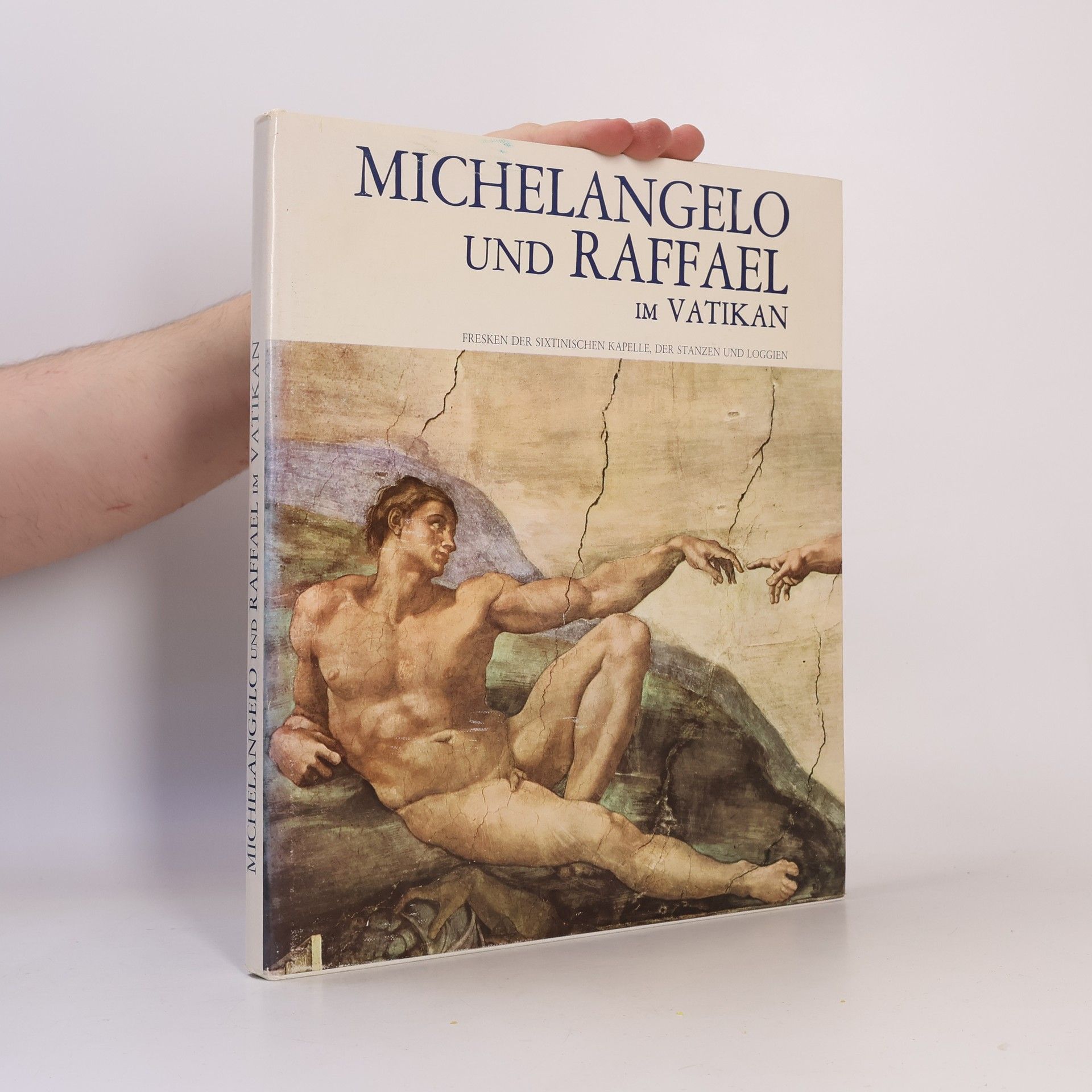 Antonio Paolucci Michelangelo und Raffael Im Vatikan