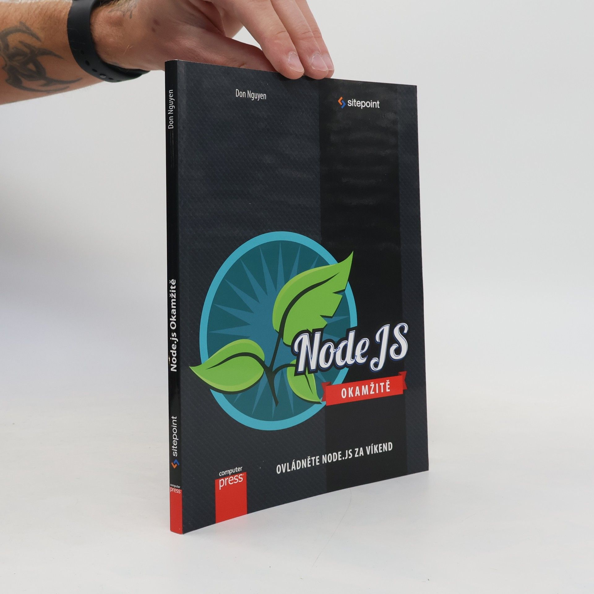 Don Nguyen Node.js Okamžitě