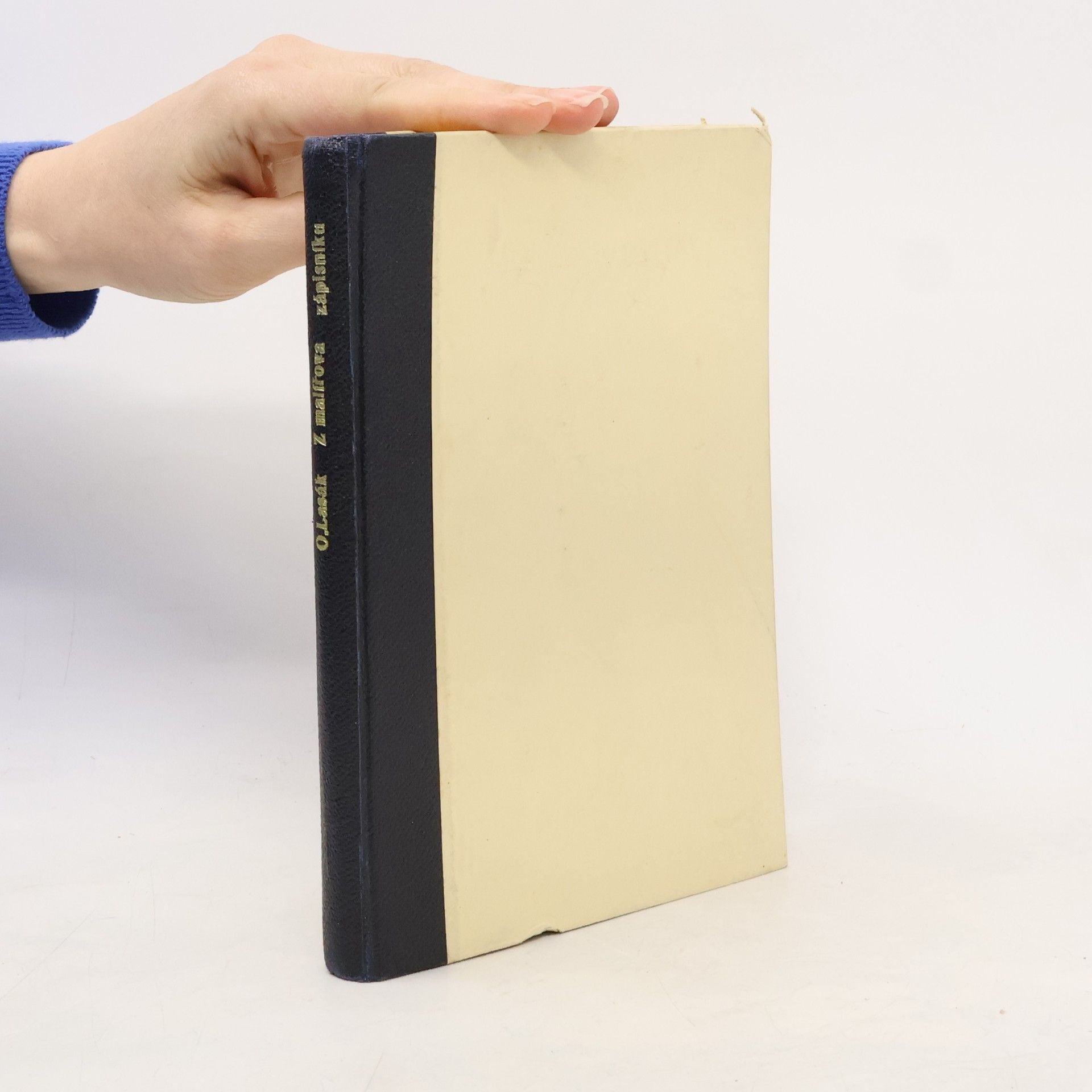 Oldřich Lasák Z malířova zápisníku