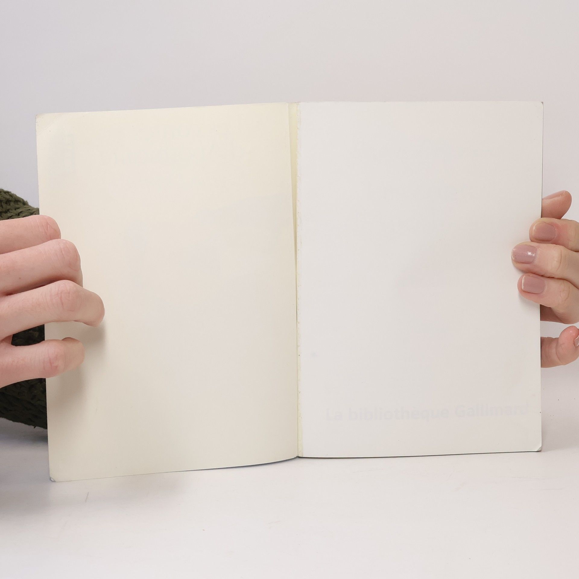 Régine Detambel La Bibliothèque Gallimard - 2: Les contes d'Apothicaire ou Apo à la recherche du bonheur