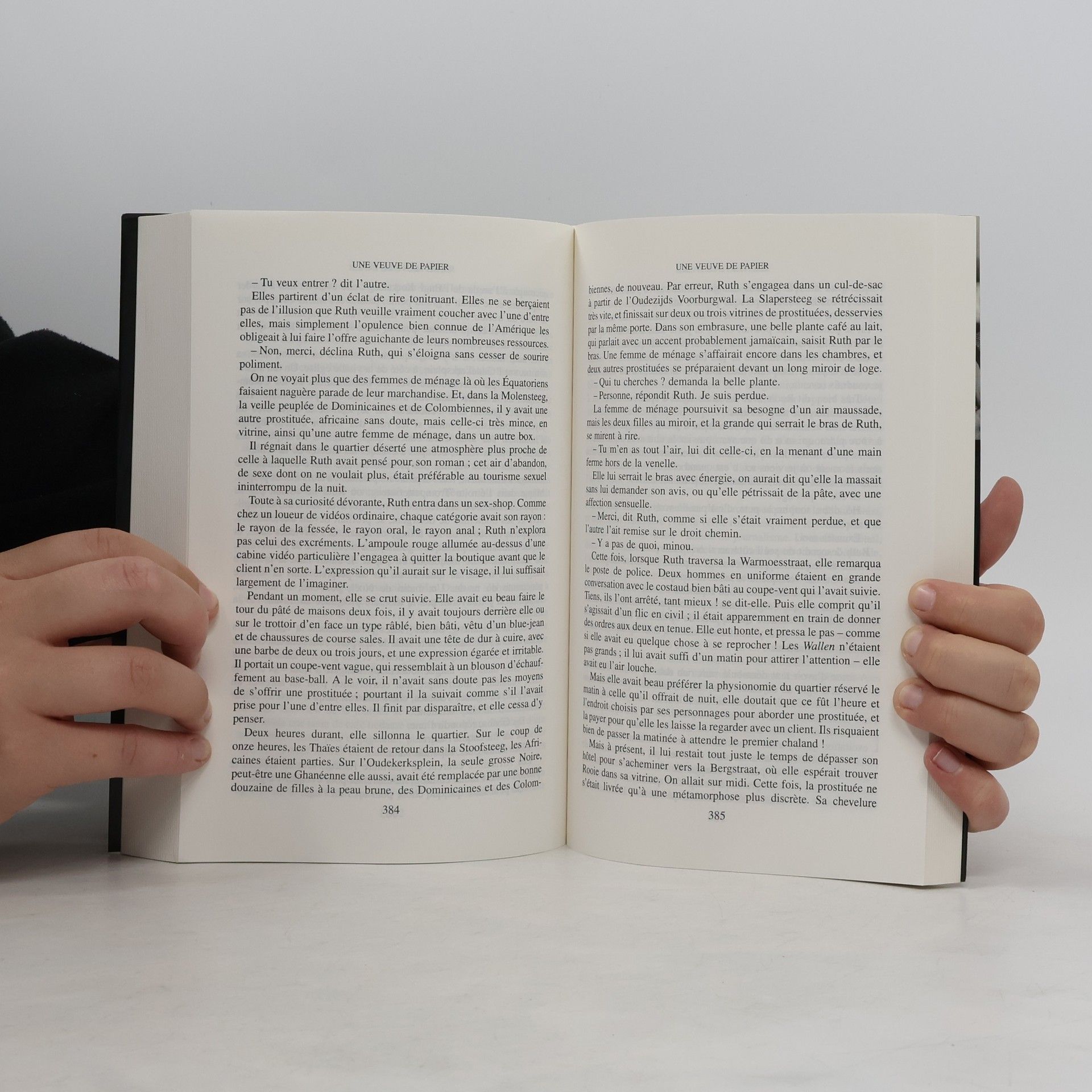 John Irving Une veuve de papier