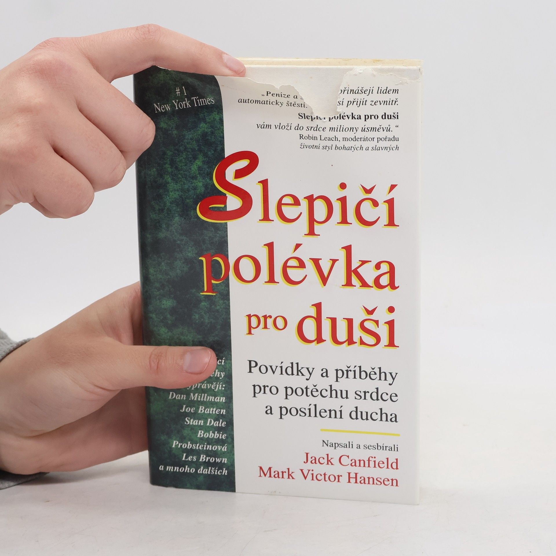 Autorenkollektiv Slepičí polévka pro duši. Povídky a příběhy pro potěchu srdce a posílení ducha