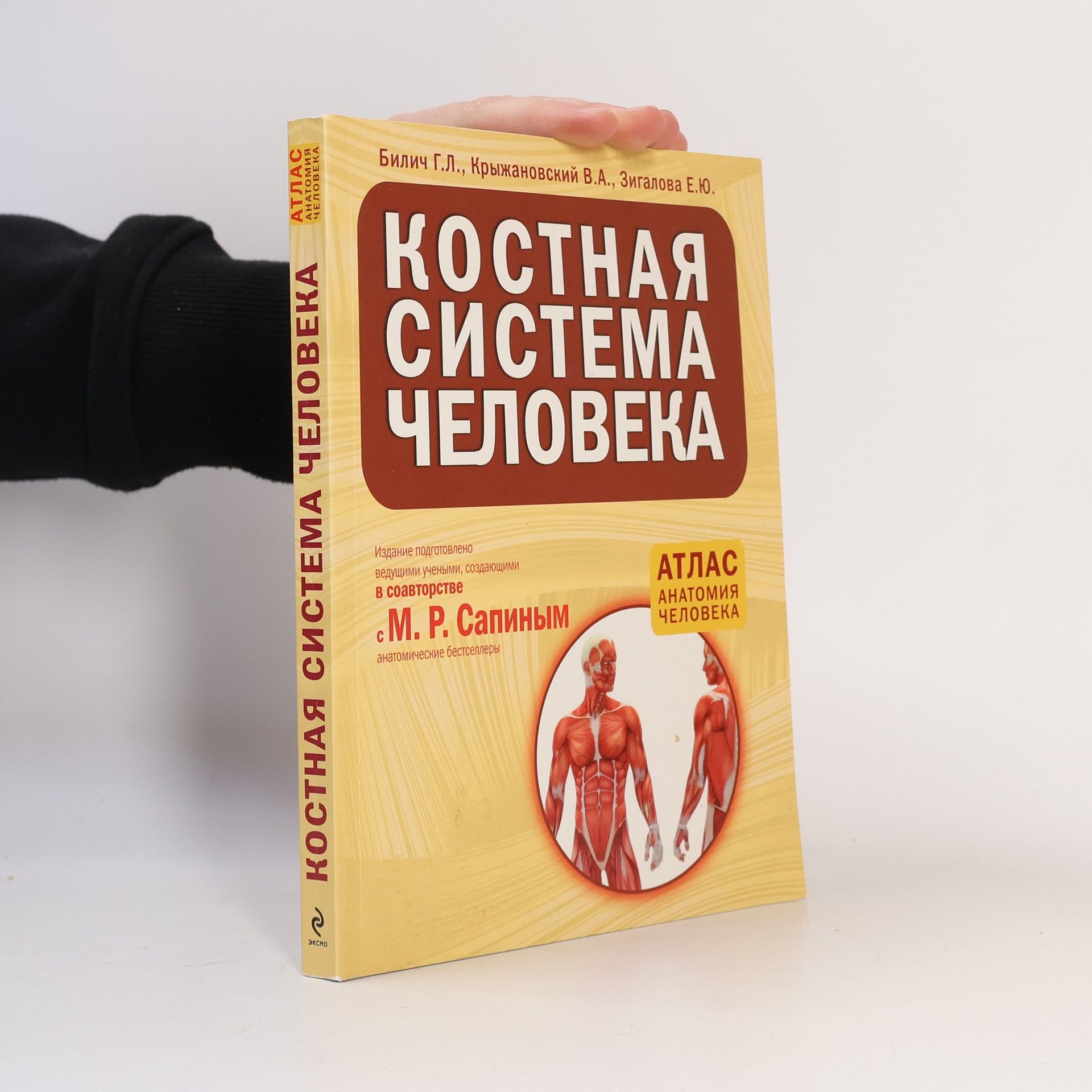 Various authors Kостная система человека