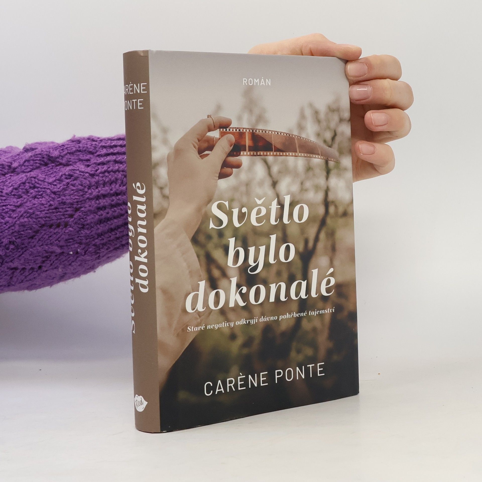 Carène Ponte Světlo bylo dokonalé