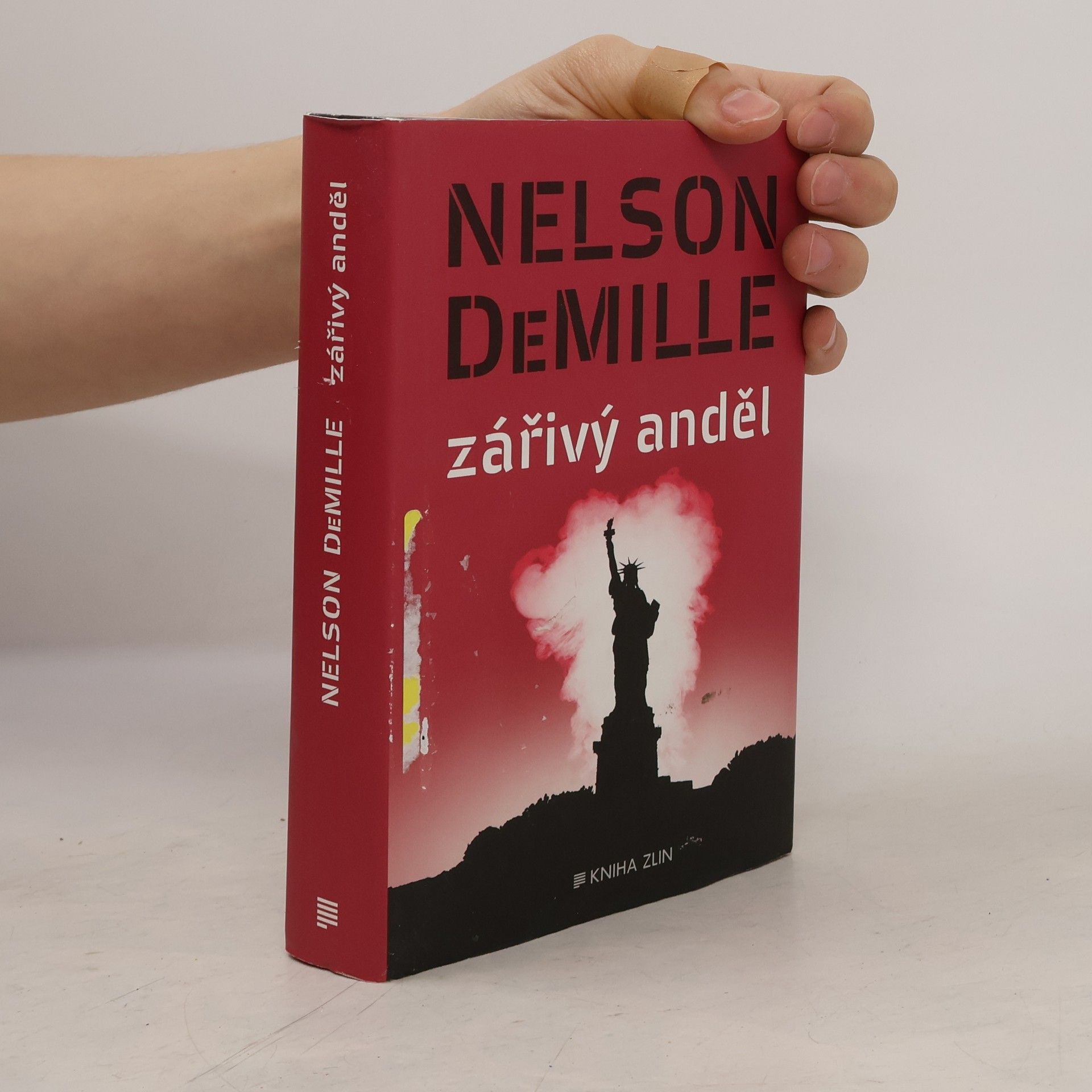 Nelson DeMille Zářivý anděl