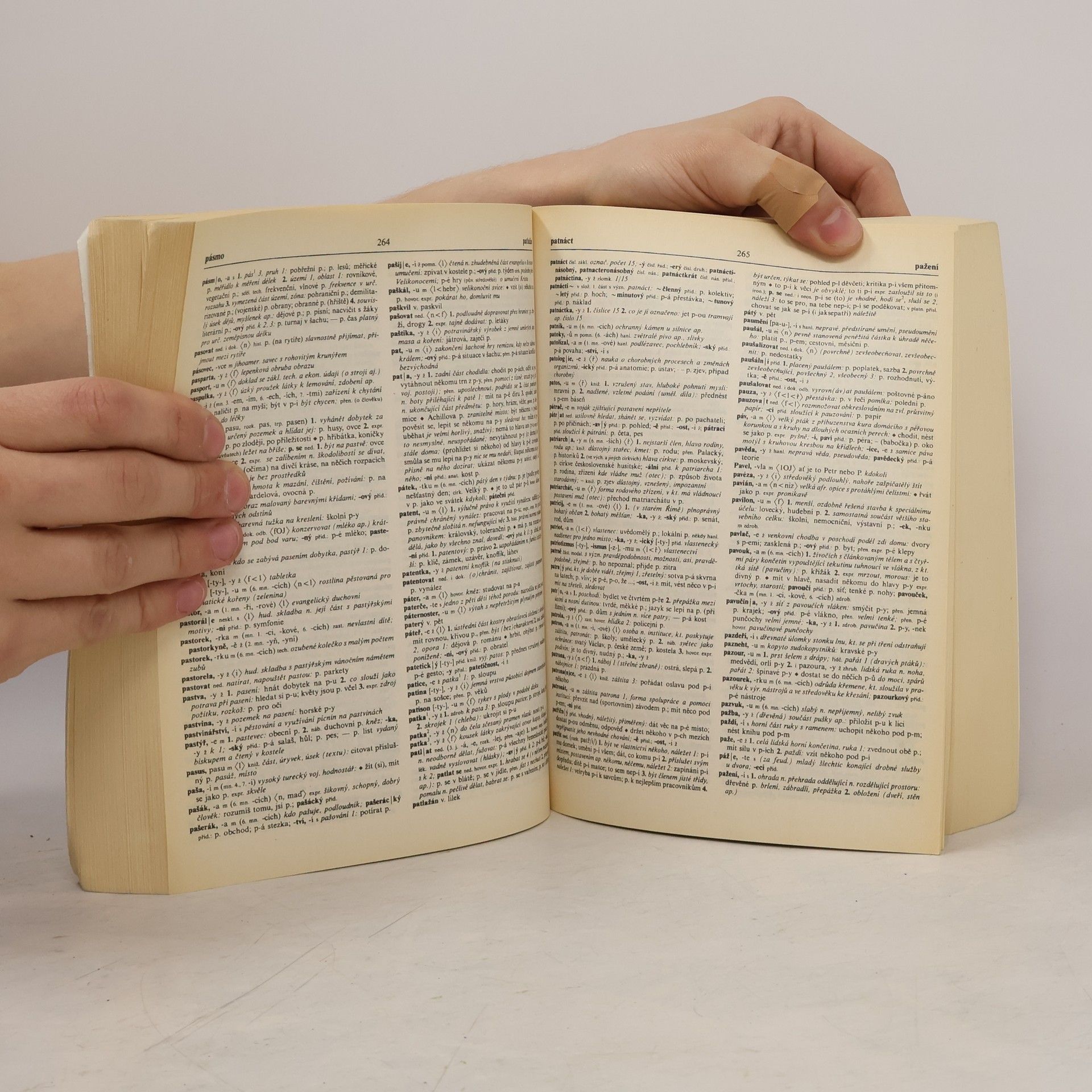 Autorenkollektiv Slovník spisovné češtiny pro školu a veřejnost