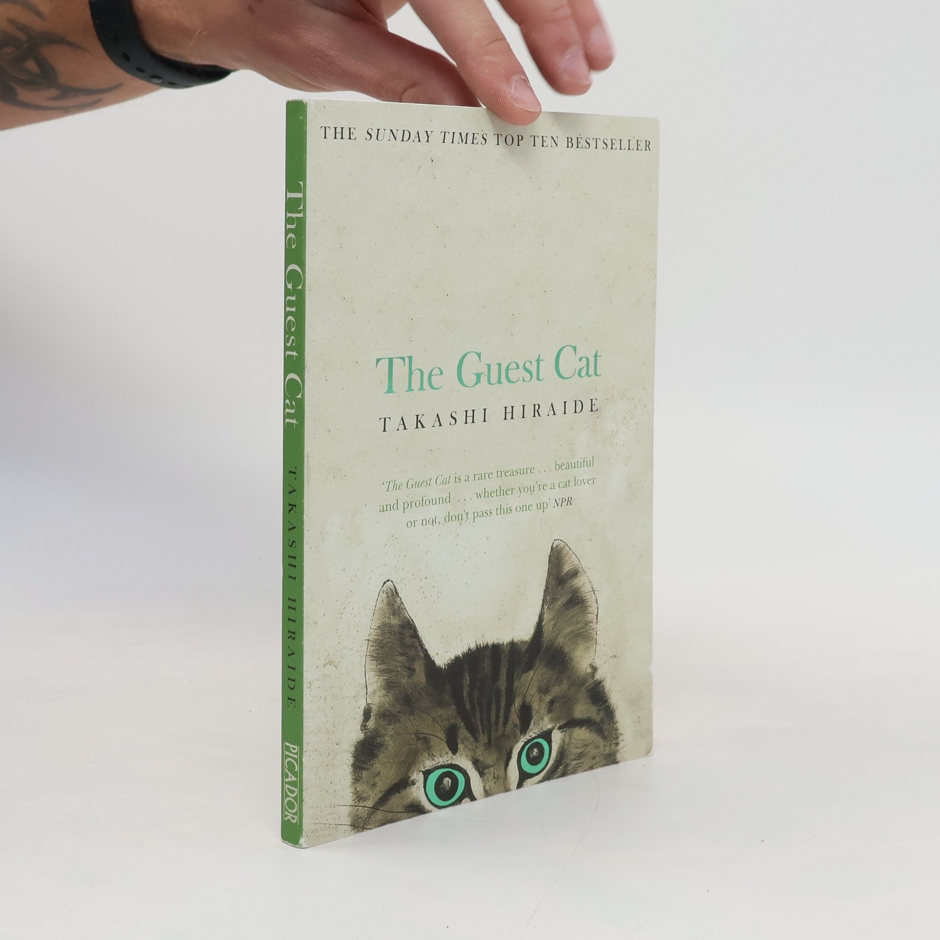 Takashi Hiraide The guest cat