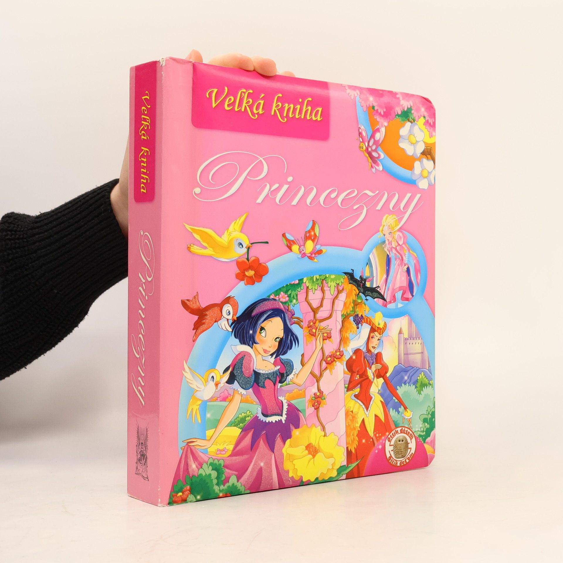 Kolektív autorov Veľká kniha: Princezny