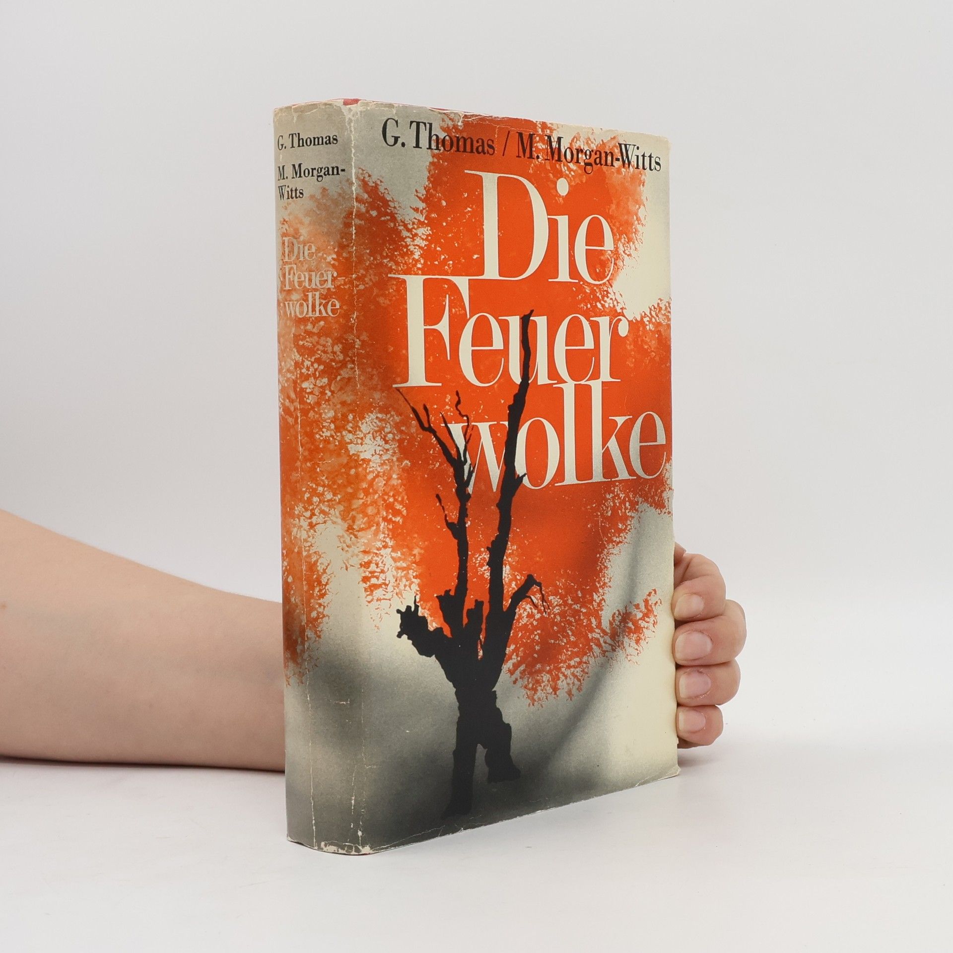 G. Thomas Die Feuerwolke