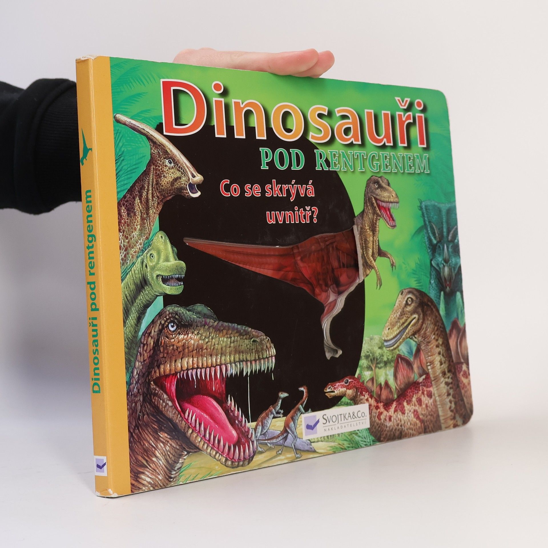 Kolektív autorov Dinosauři pod rentgenem: Co se skrývá uvnitř?