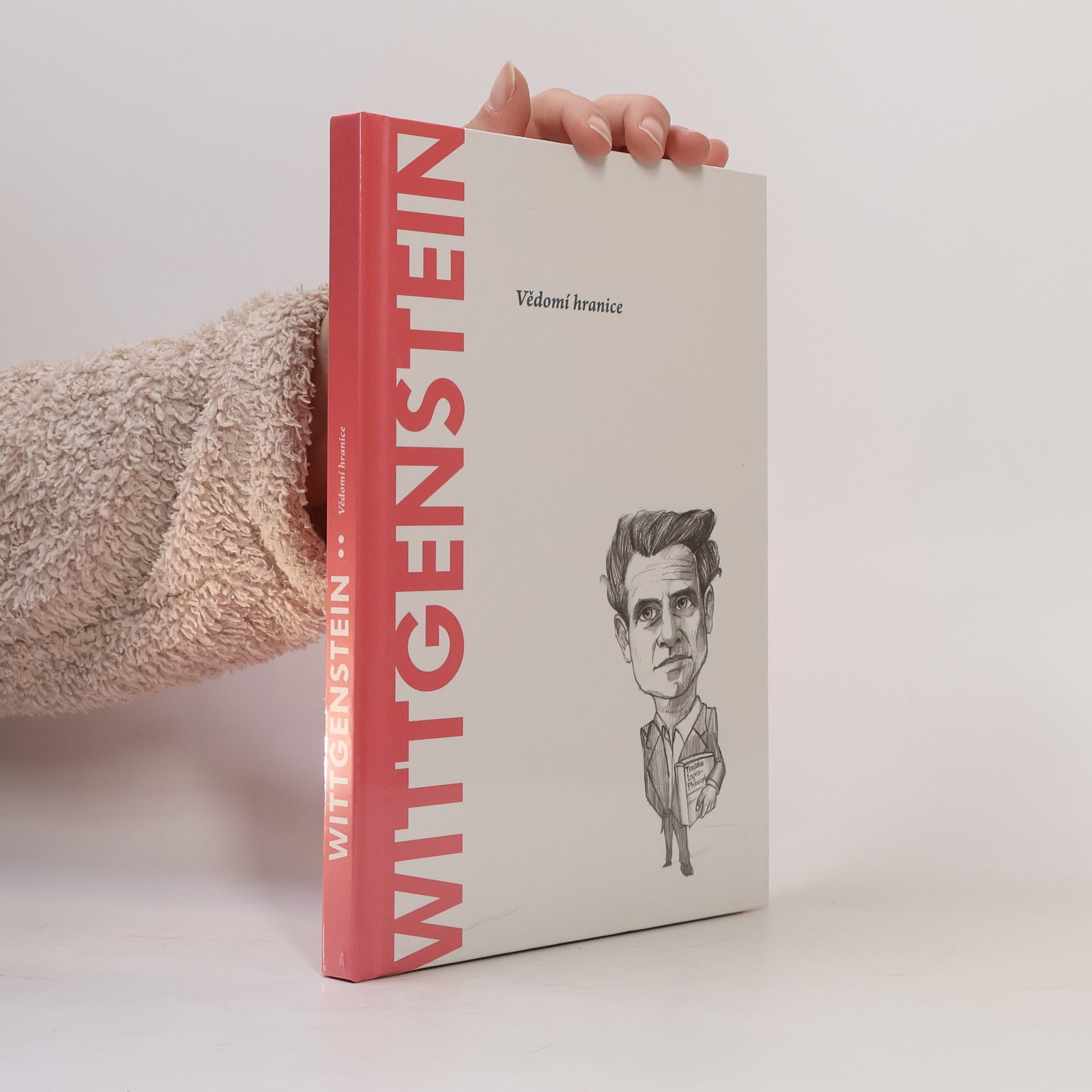 Auteurscollectief Wittgenstein. Vědomí hranice