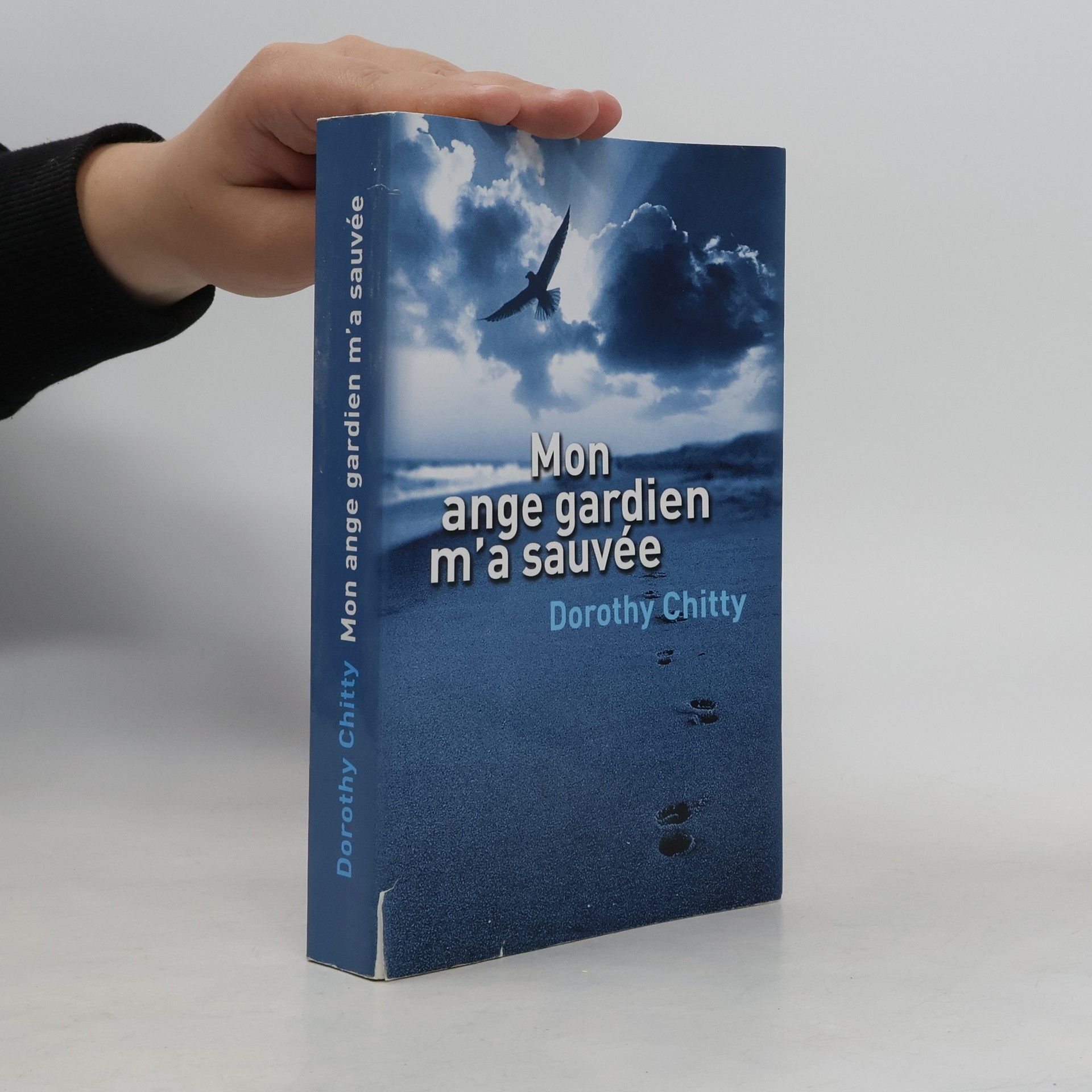 Mon ange gardien m'a sauvée