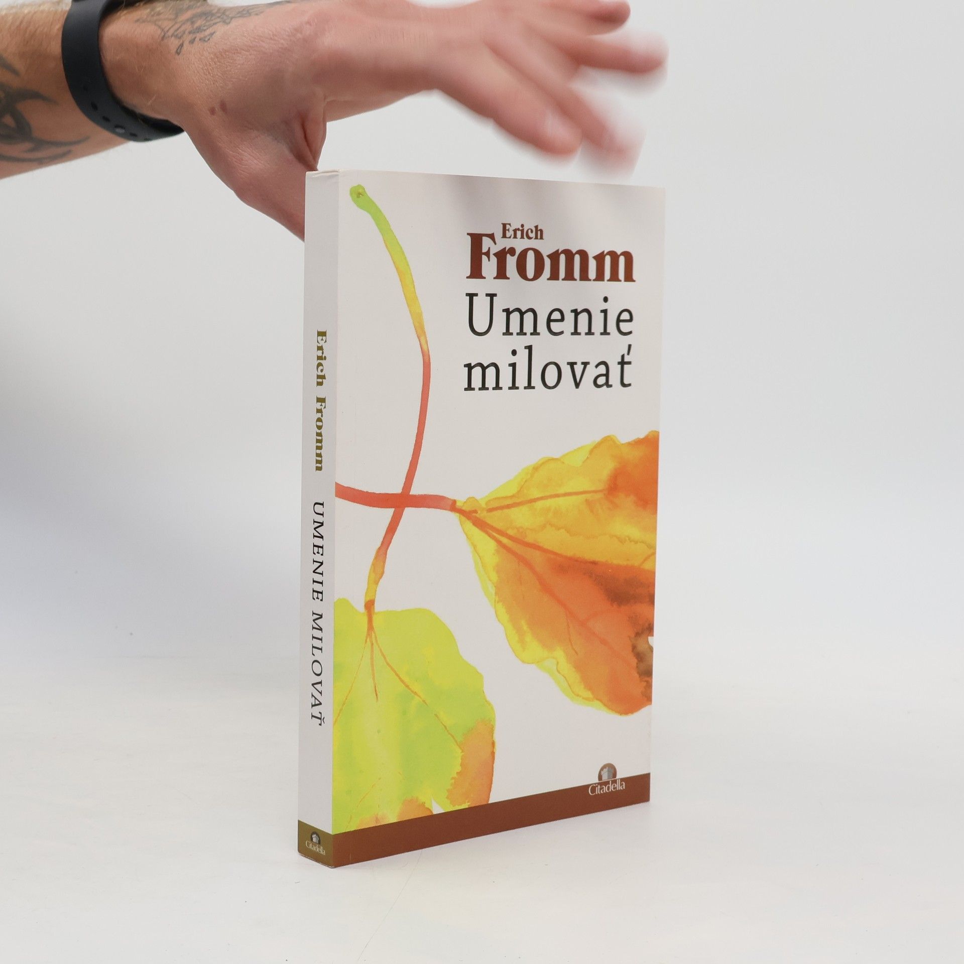 Erich Fromm Umenie milovať