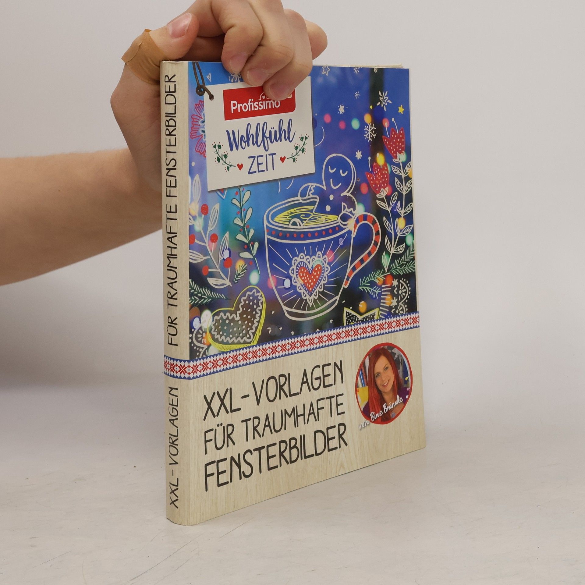 Kolektiv autorů XXL-Vorlagen für Traumhafte Fensterbilder