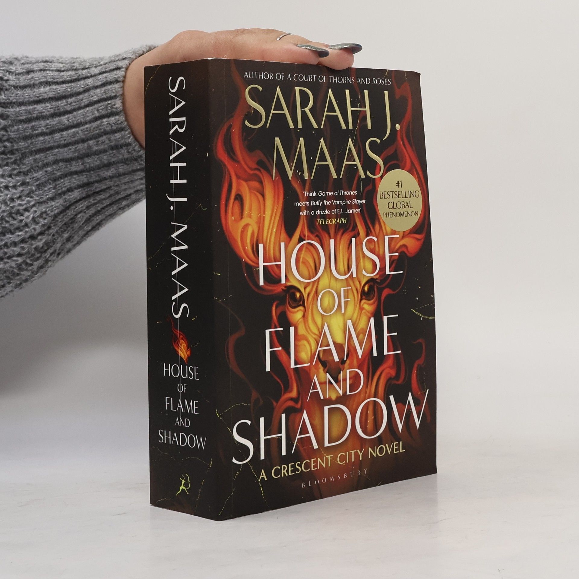Sarah J. Maas Crescent City - 3: House of Flame and Shadow