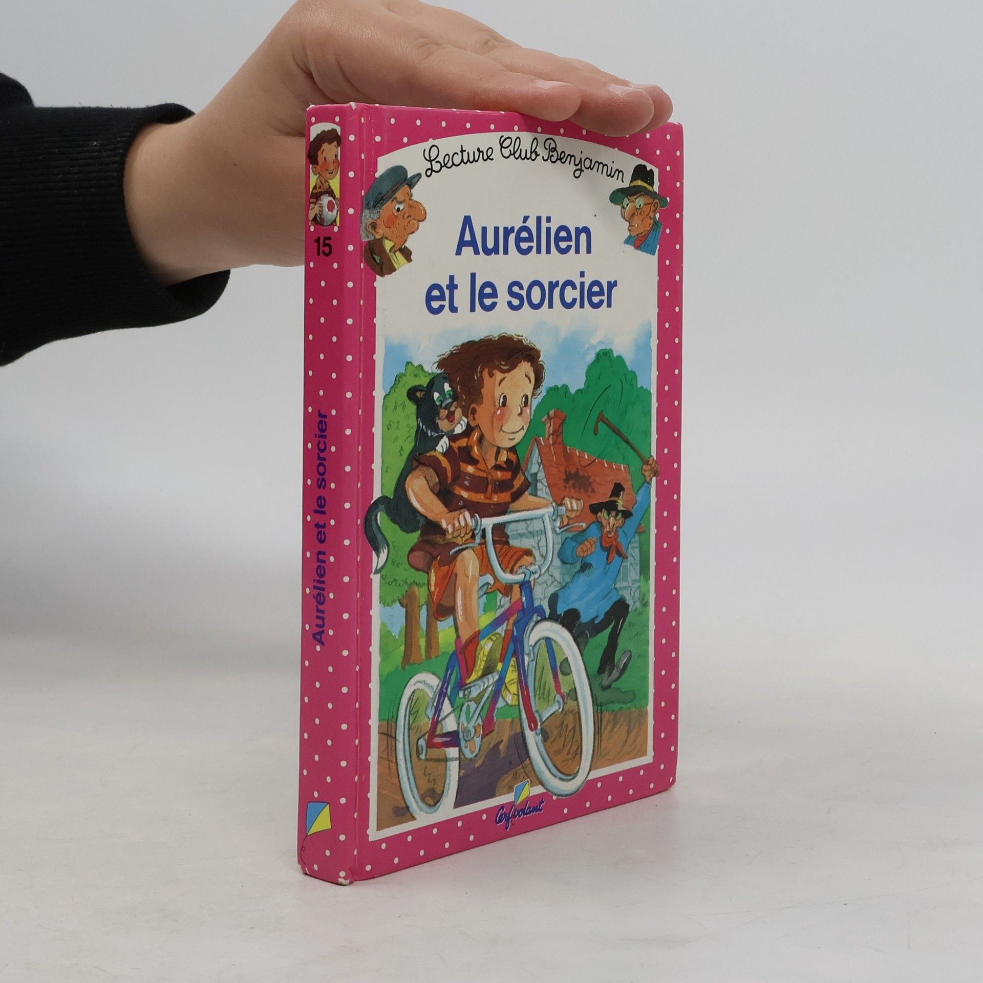 Annick Lacroix Aurélien et le sorcier