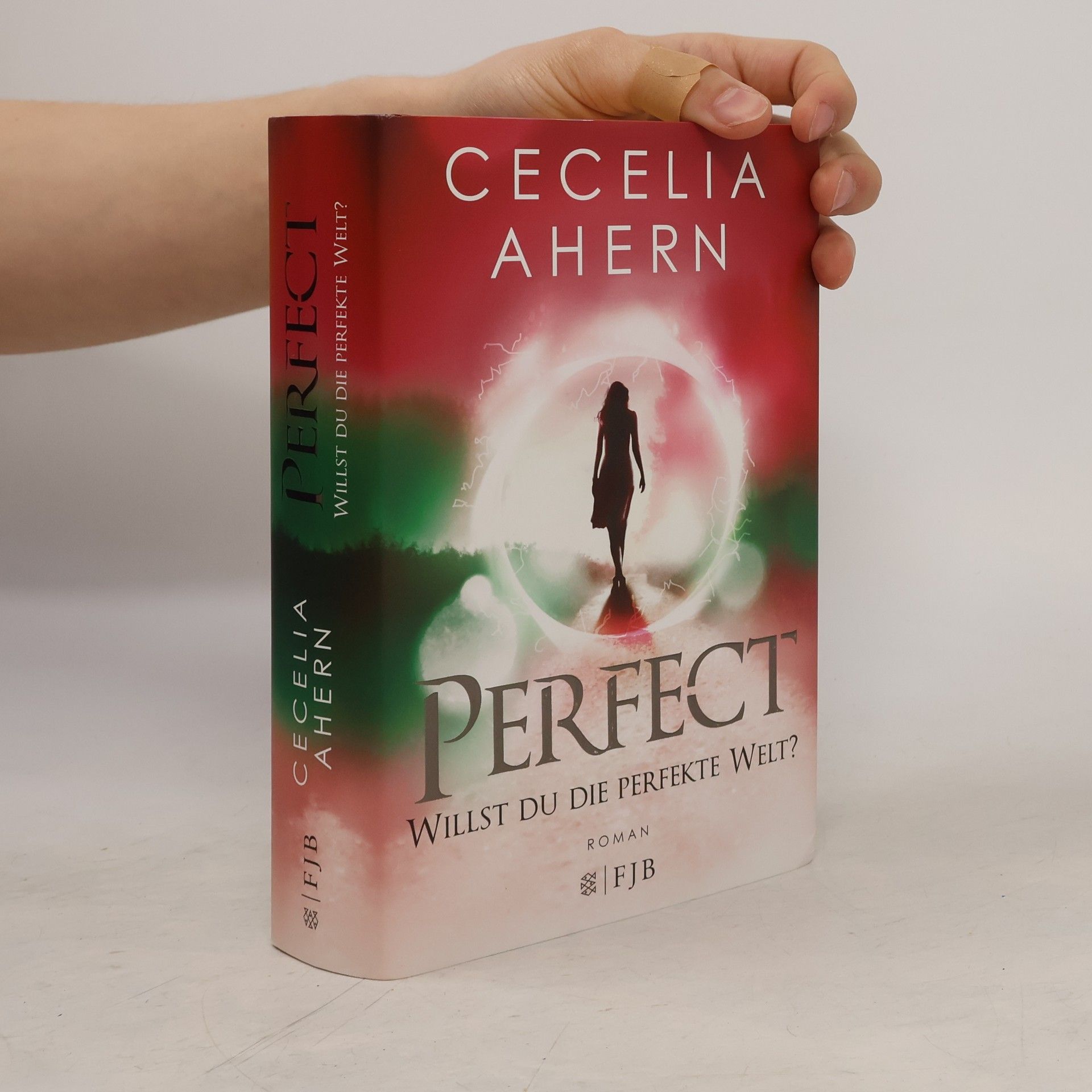 Cecelia Ahern Perfect - willst du die perfekte Welt?